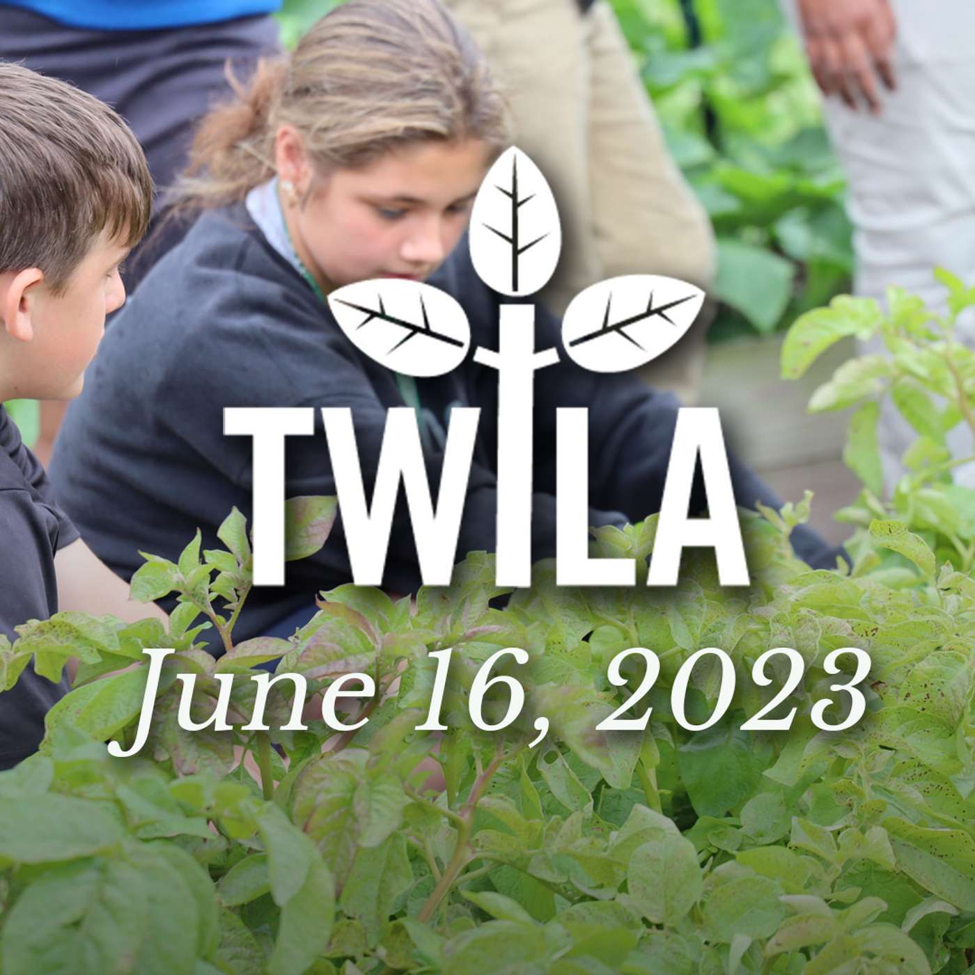 TWILA 6-16-23 episode artwork