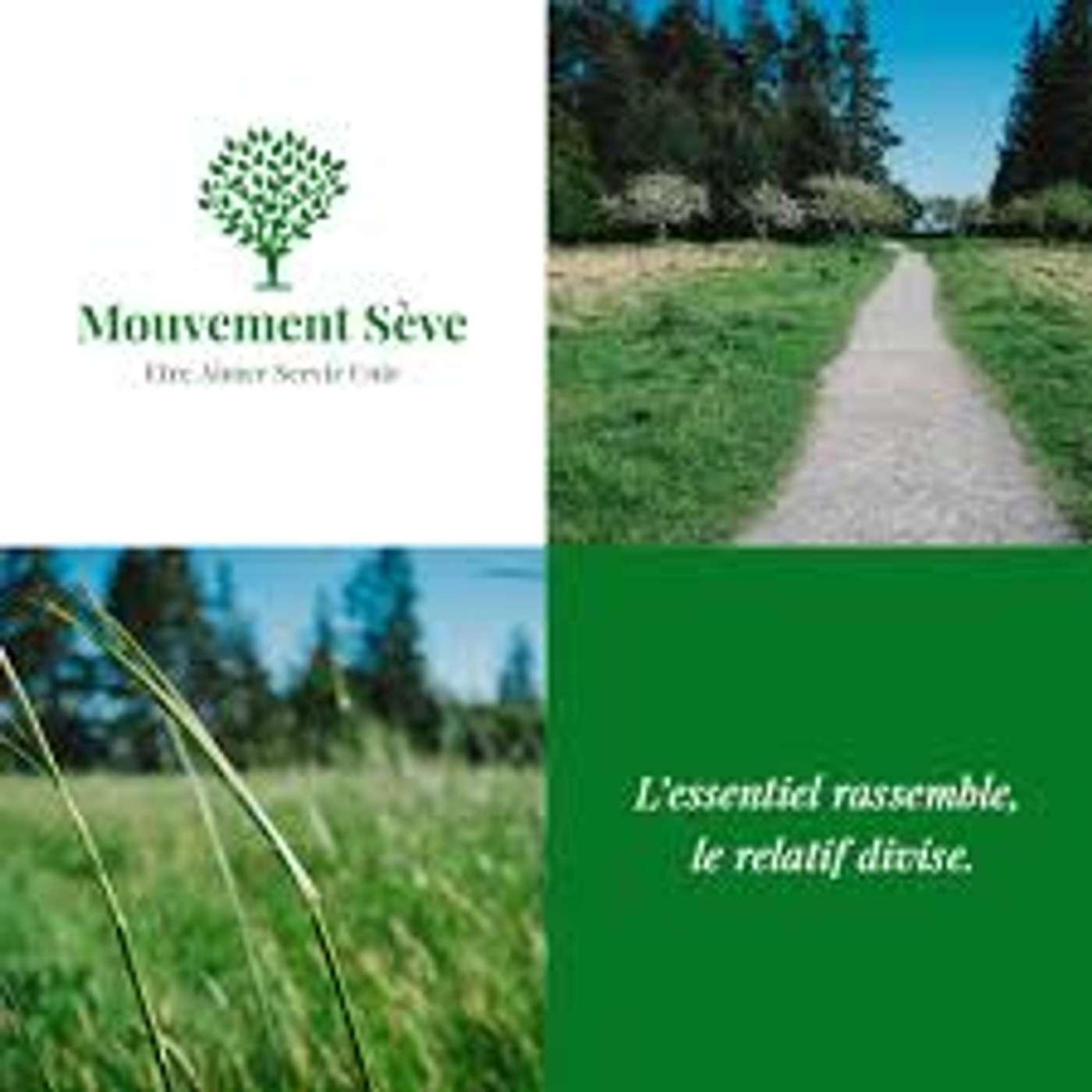 Le mouvement SÈVE : « ÊTRE, AIMER, SERVIR, UNIR » episode artwork
