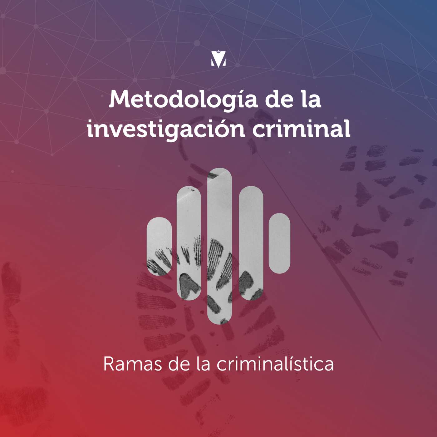 2 - METODOLOGÍA DE LA INVESTIGACIÓN CRIMINAL: Ramas de la Criminalística - La Documentología y la Accidentología episode artwork