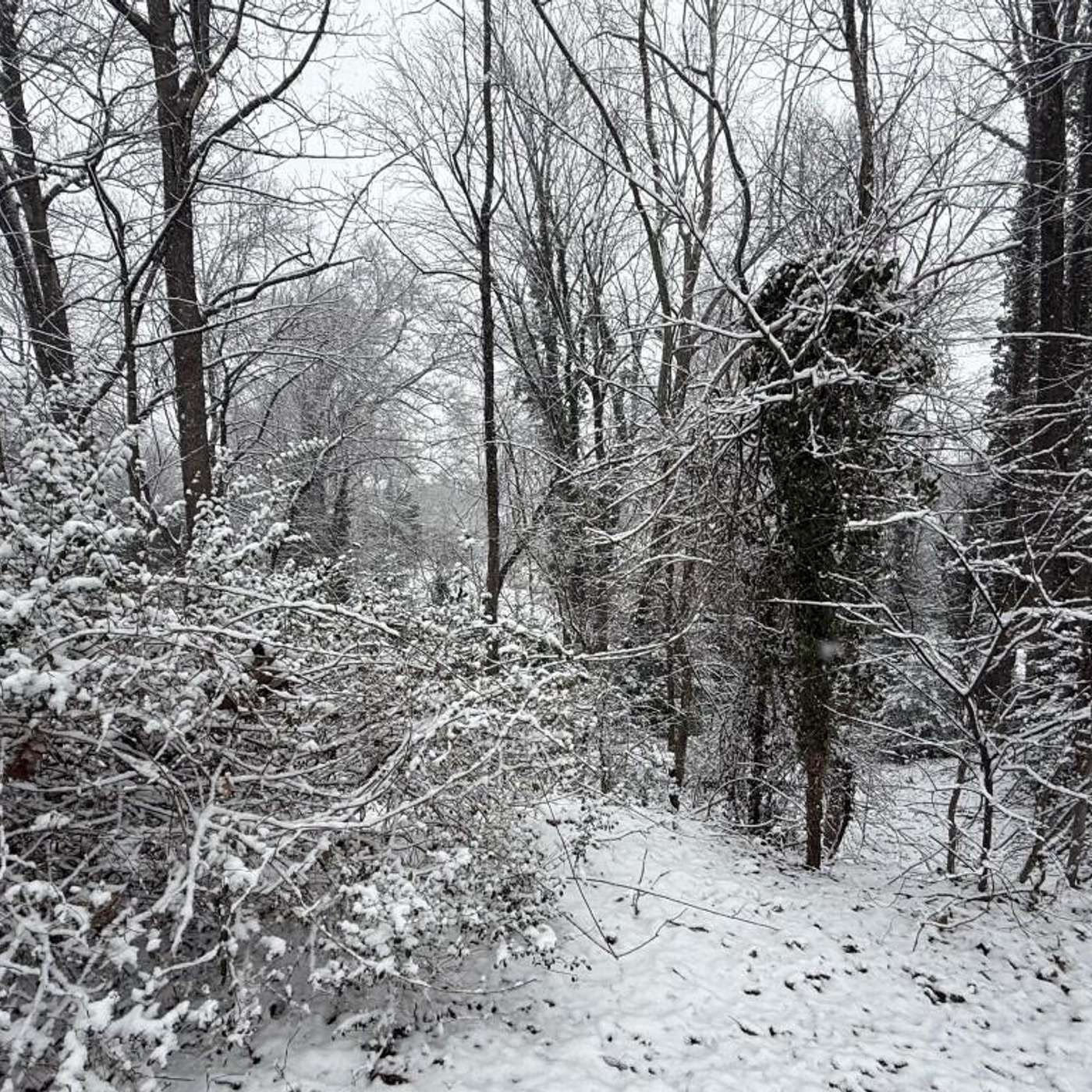 ACPD Deputy Chief Randy Jamerson