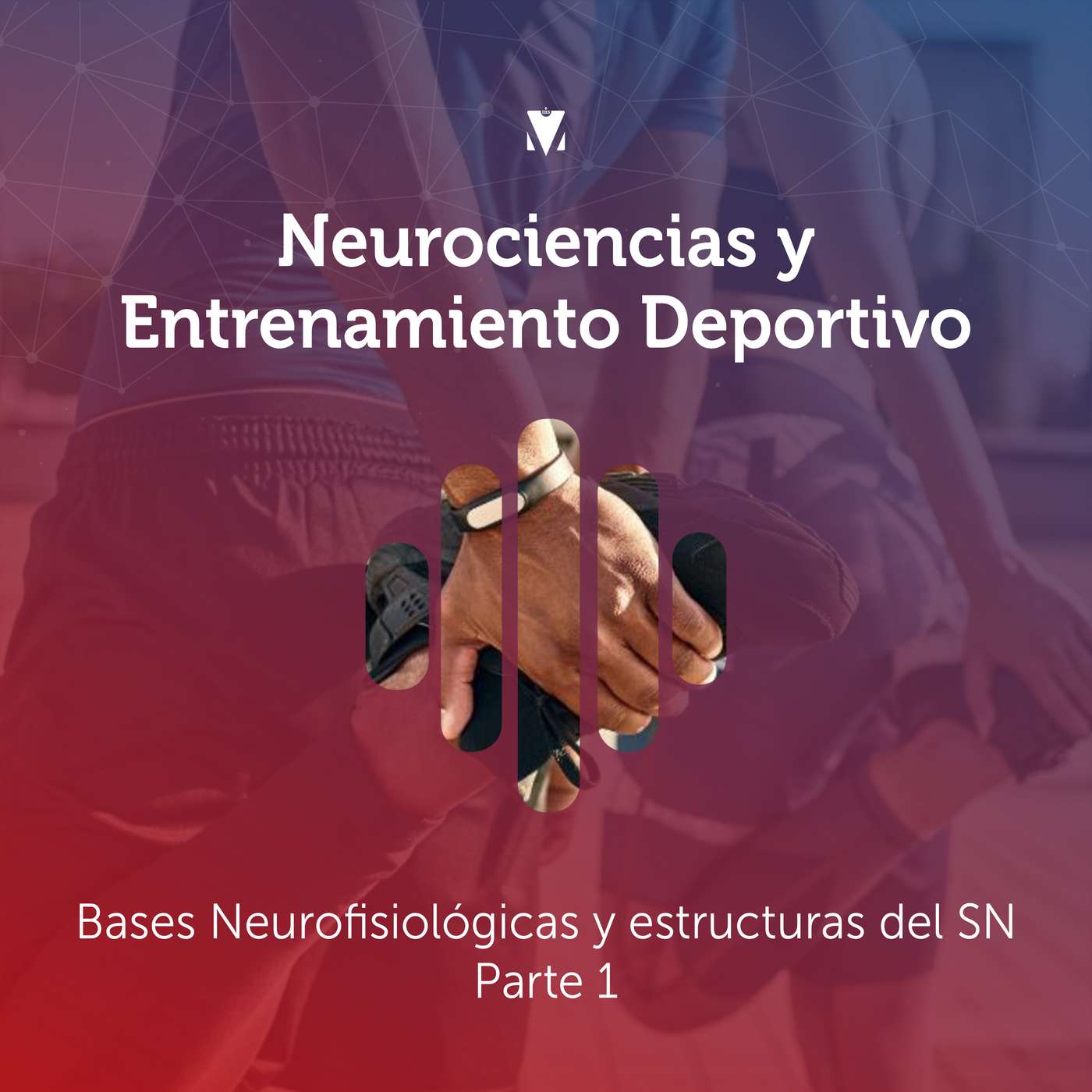 1 - NEUROCIENCIAS Y ENTRENAMIENTO DEPORTIVO: Bases Neurofisiológicas y estructuras del SN - Parte 1 episode artwork