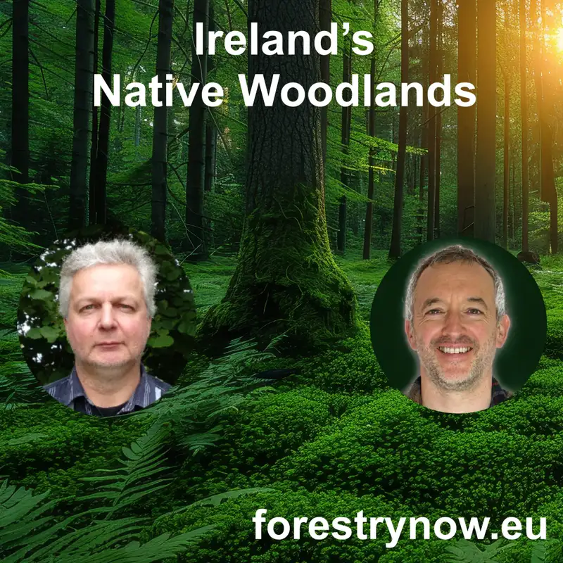 Ireland's Native Woodlands with Joe Gowran