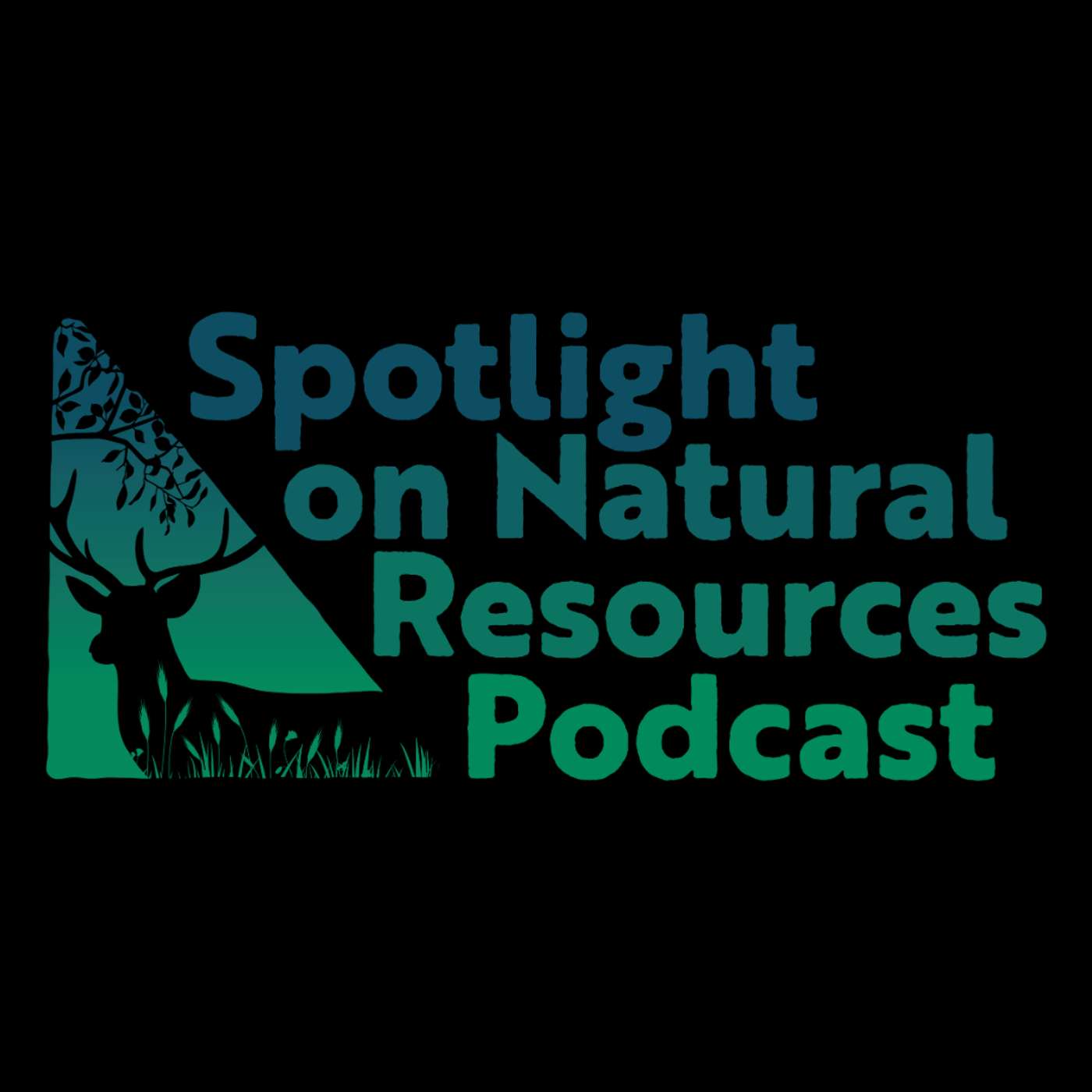 Research Bite: University of Illinois Students Discuss Bird Collisions