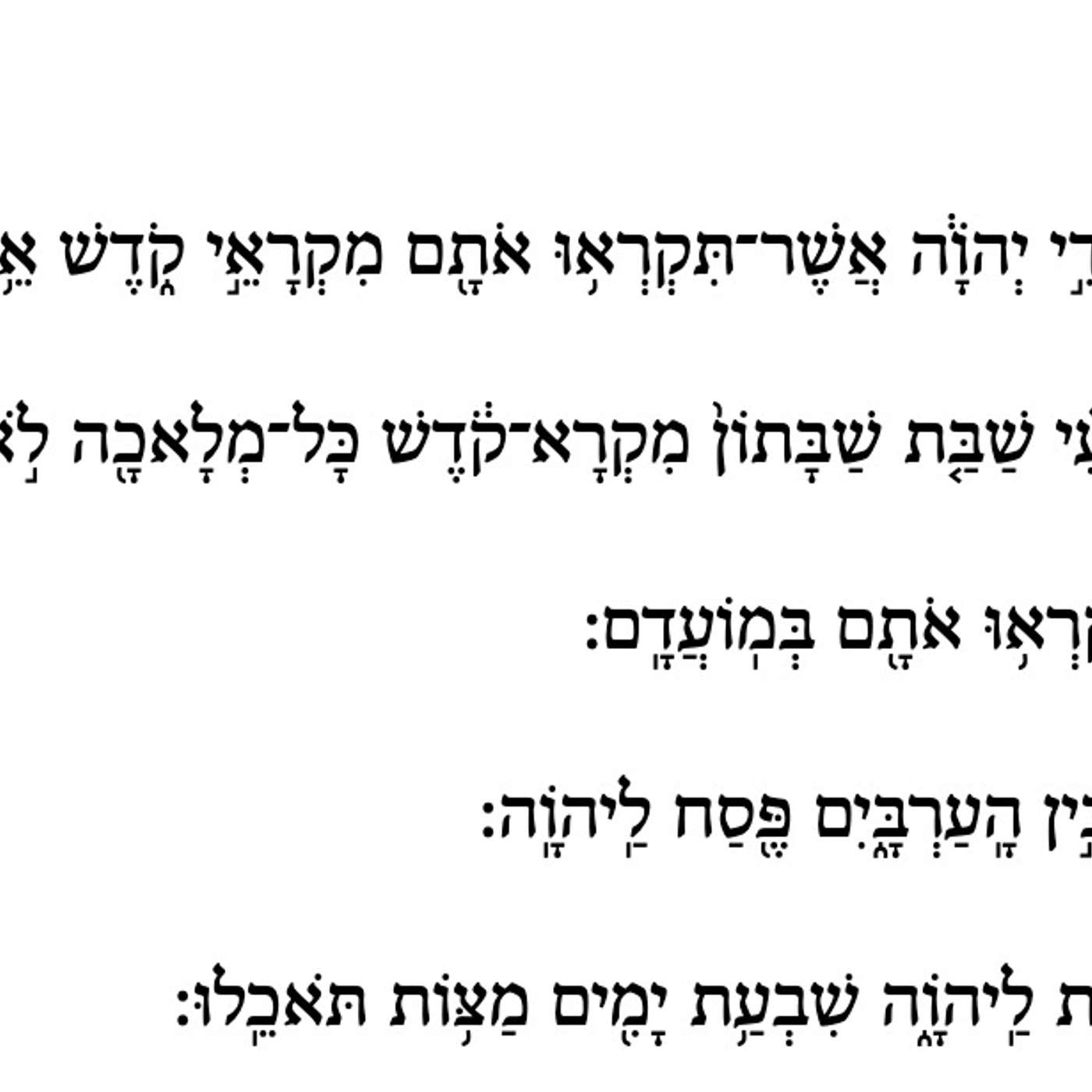 Listen to the Torah episode artwork