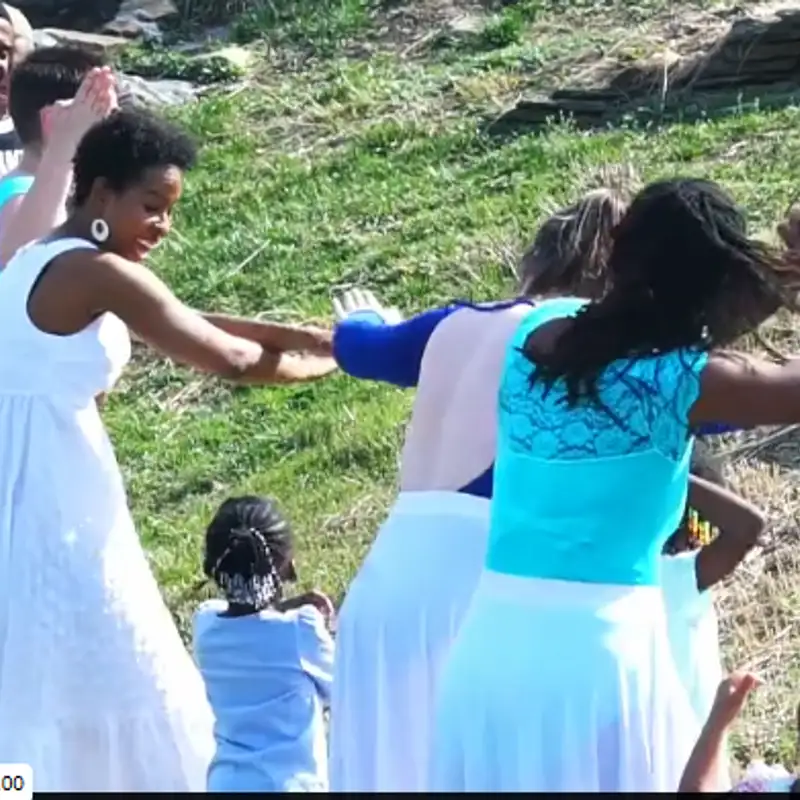 Bridging dance and ecology