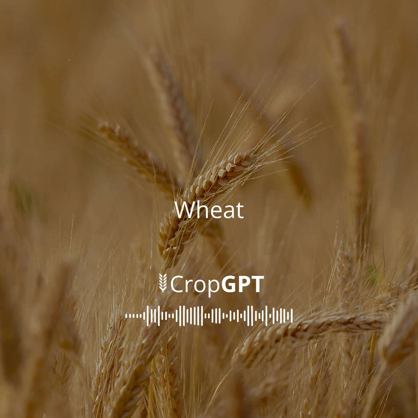 CropGPT - Grains