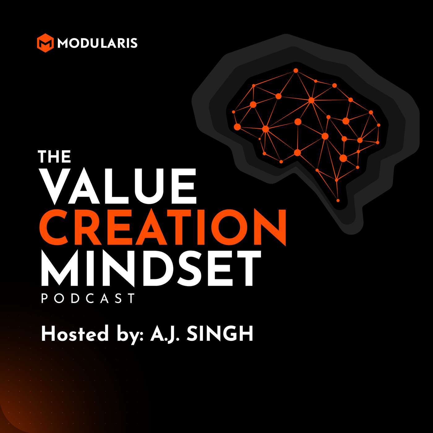 The Value Creation Mindset Podcast