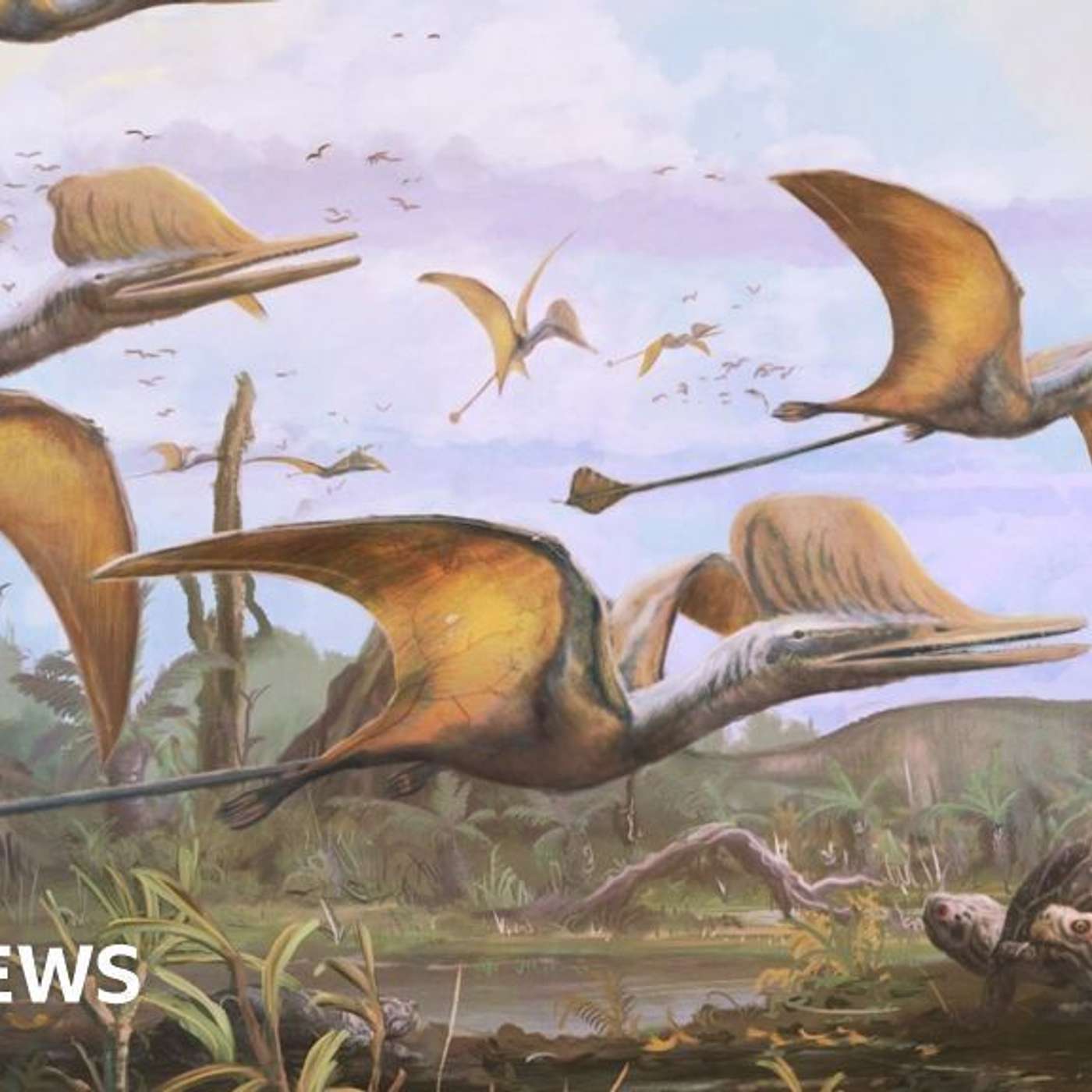 Rare Pterosaur Uncovered, AI Deciphers Herculaneum Scrolls, Switching Vaccine Arms May Boost Immunity, Ancient Atlantis Discovered Off Australia, and more...