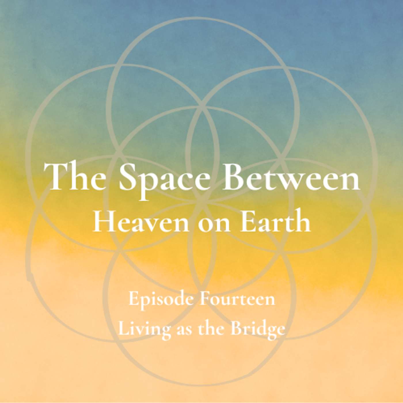 The Space Between - Episode 14 - Living as the Bridge episode artwork