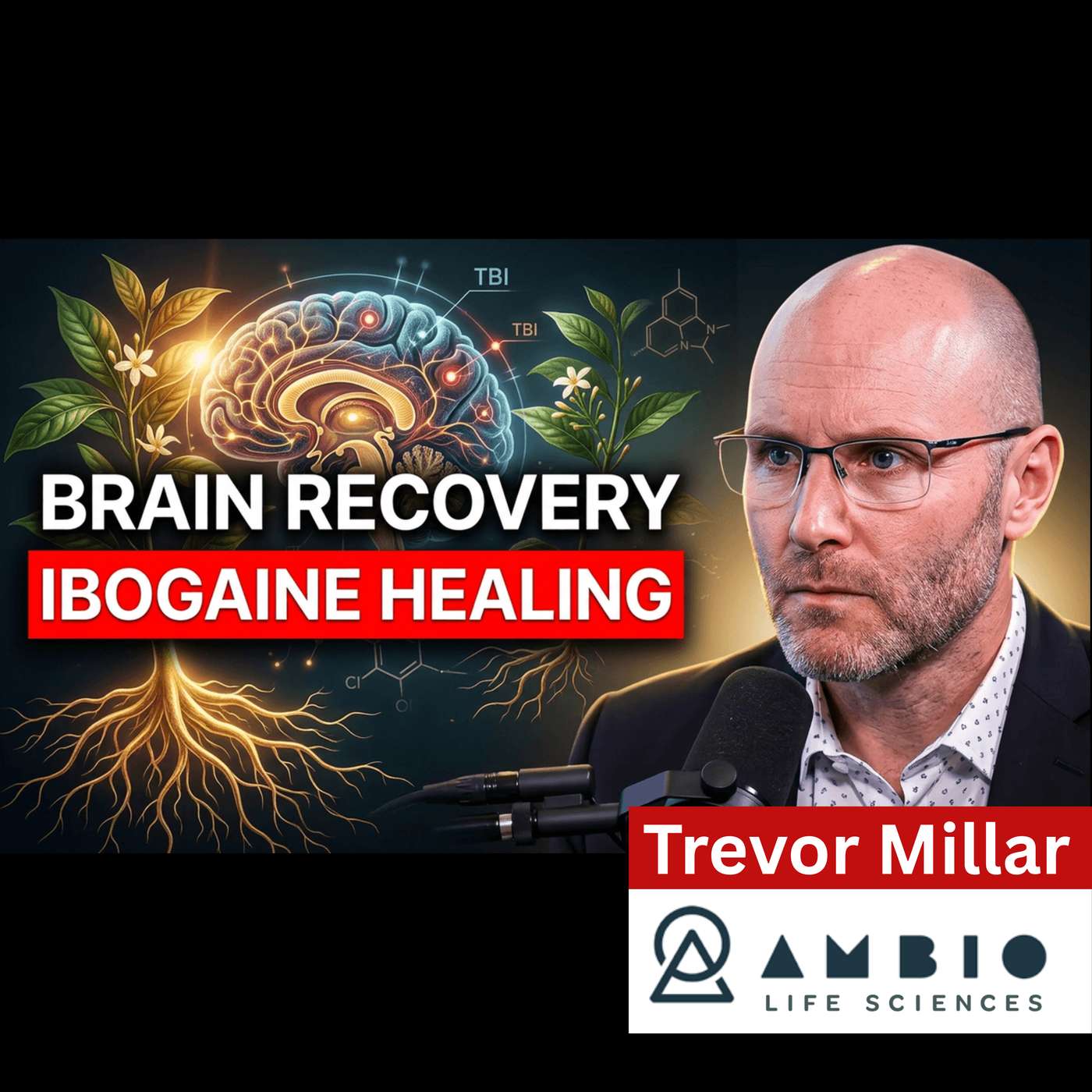Trevor Millar on Ibogaine, TBI Recovery & the Future of Brain Healing | The HeadRush Podcast episode artwork