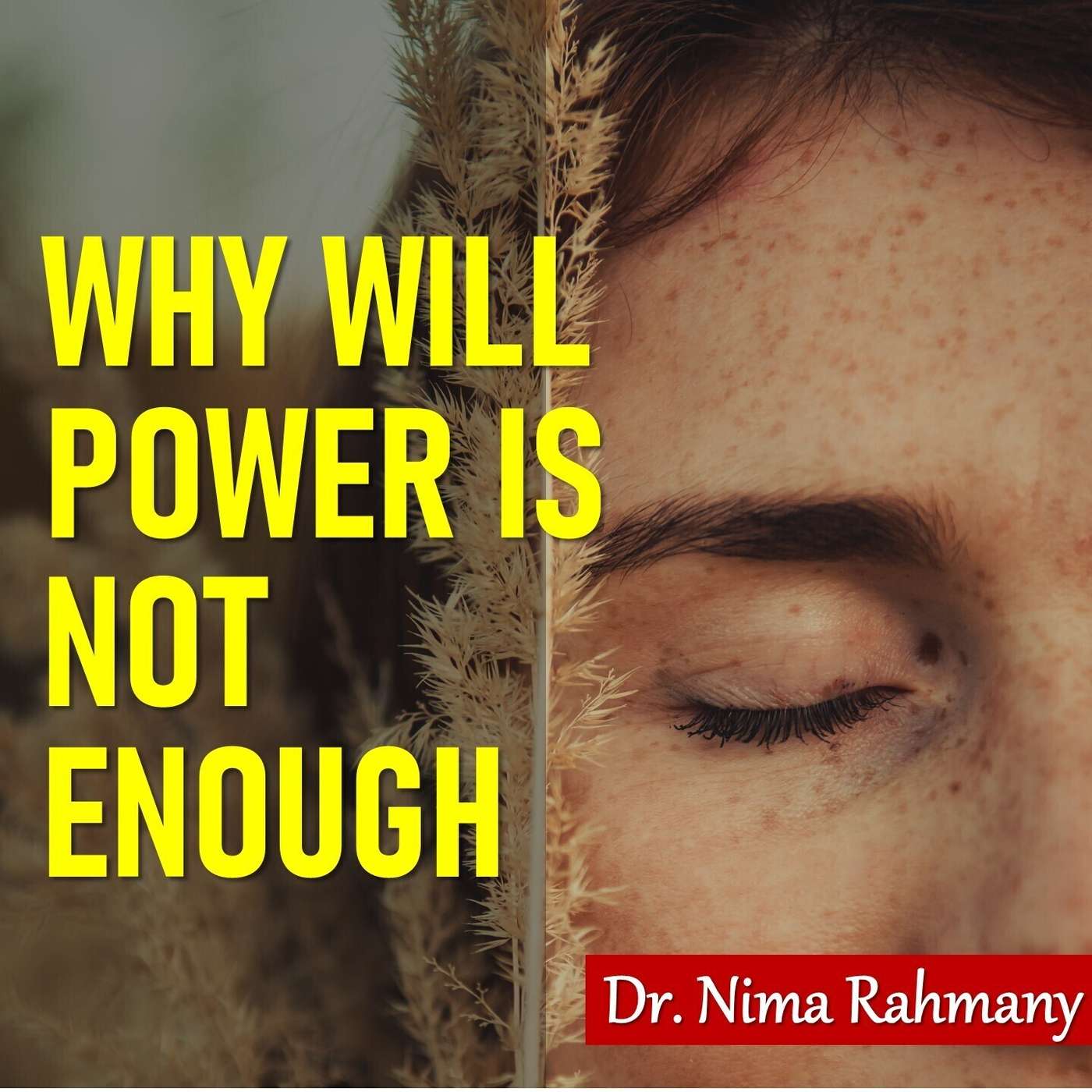 Why Will Power Is Not Enough episode artwork