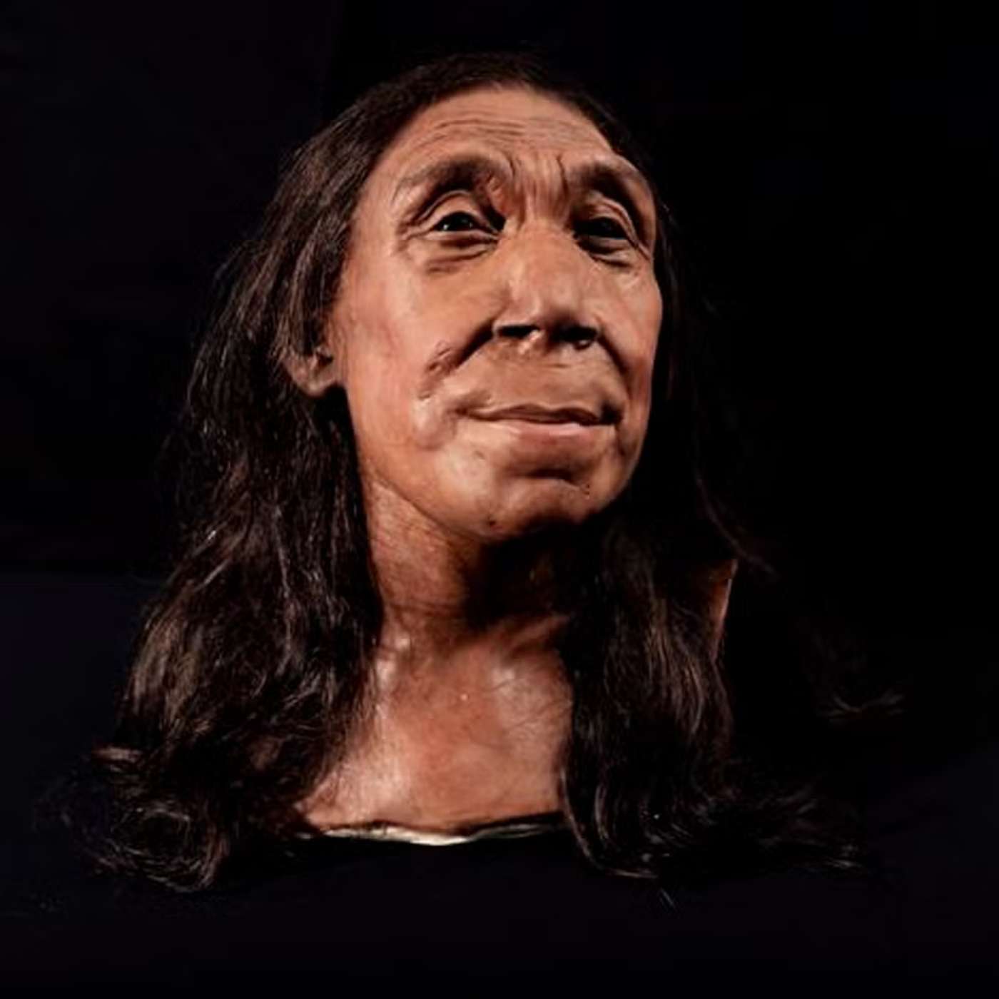 Neanderthal Woman's Face Revealed, Anger linked to heart attack risk, UF's mRNA Vaccine Targets Brain Cancer, Moroccan Drought-Resistant Seeds, and more...