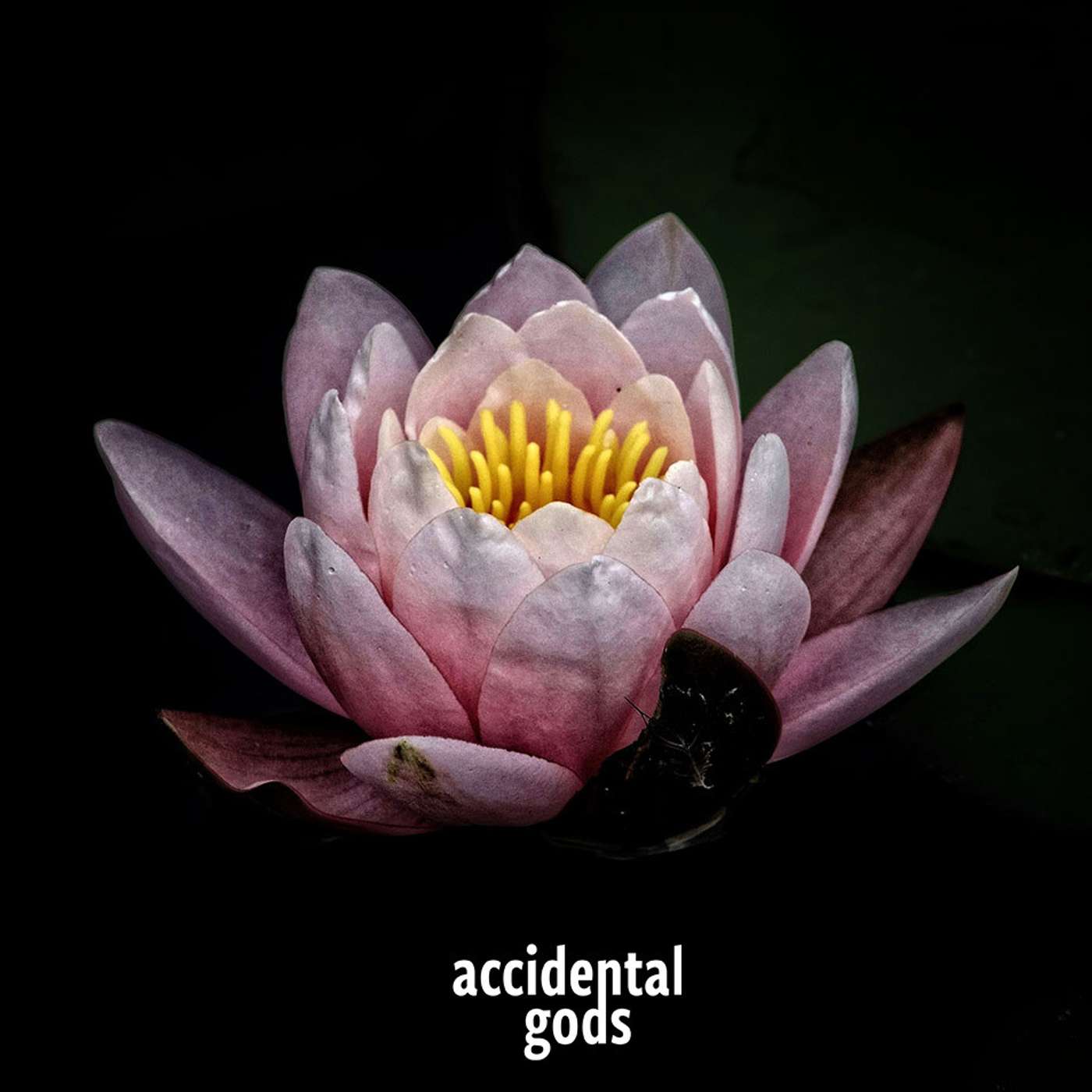 Inner Resilience: finding clarity, courage and connection in a time of Corona Virus