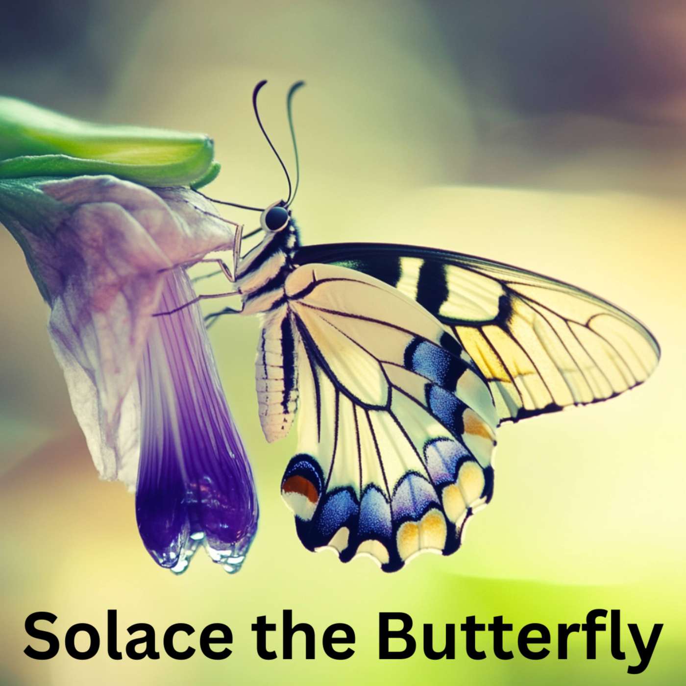 Day 161 - Solace the Butterfly episode artwork