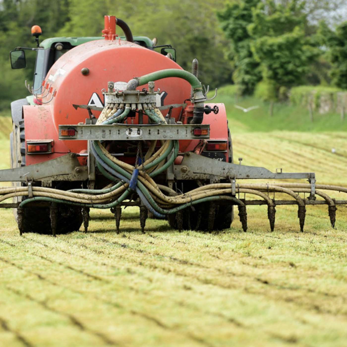Fertiliser strategies for silage ground with current supply and cost issues