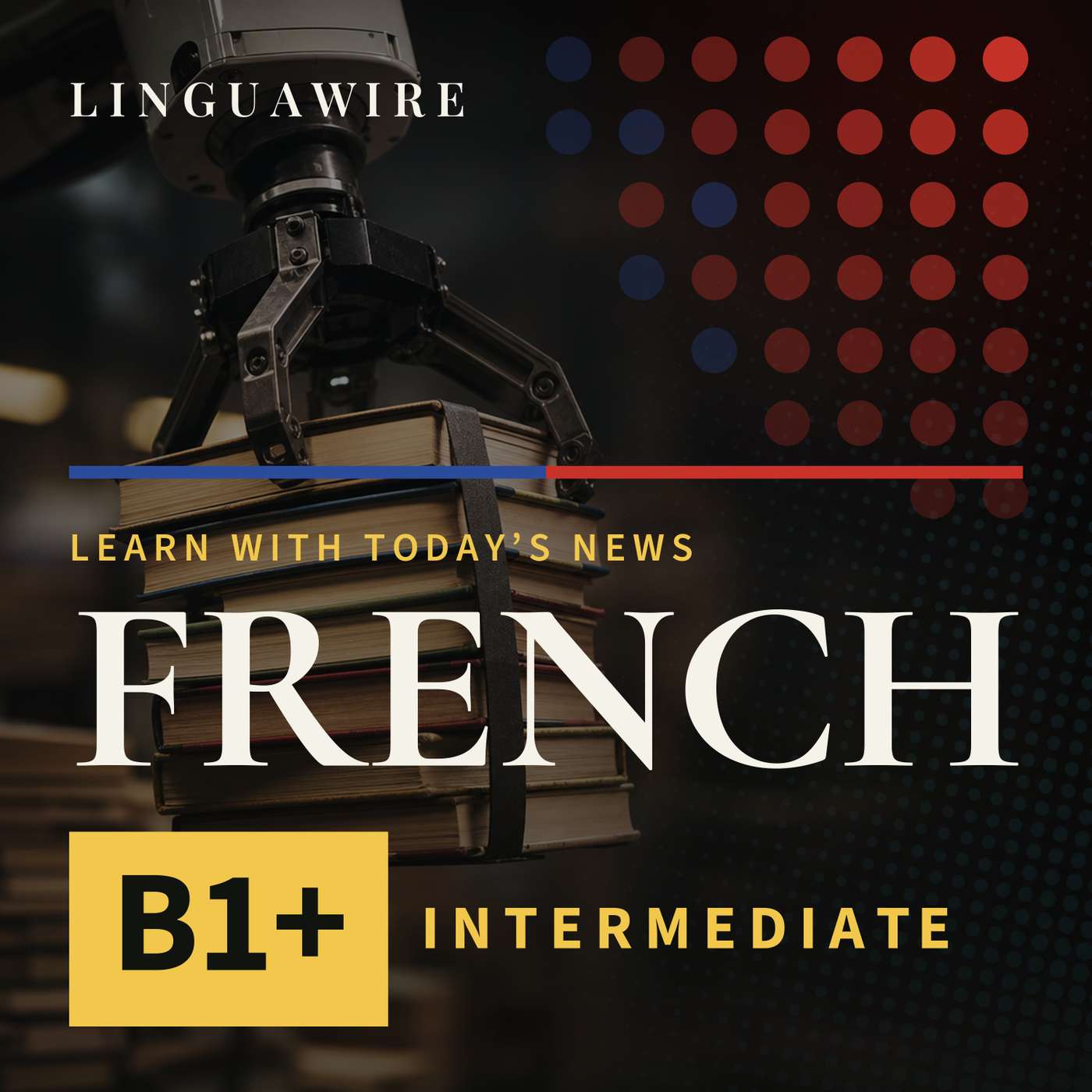 B1 French News | Why Are Secondhand Books Selling in Bulk?