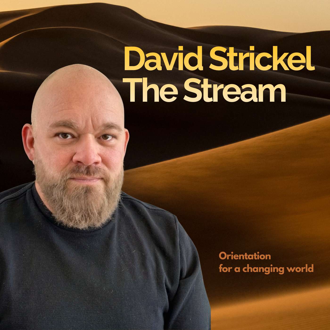 David Strickel | The Stream
