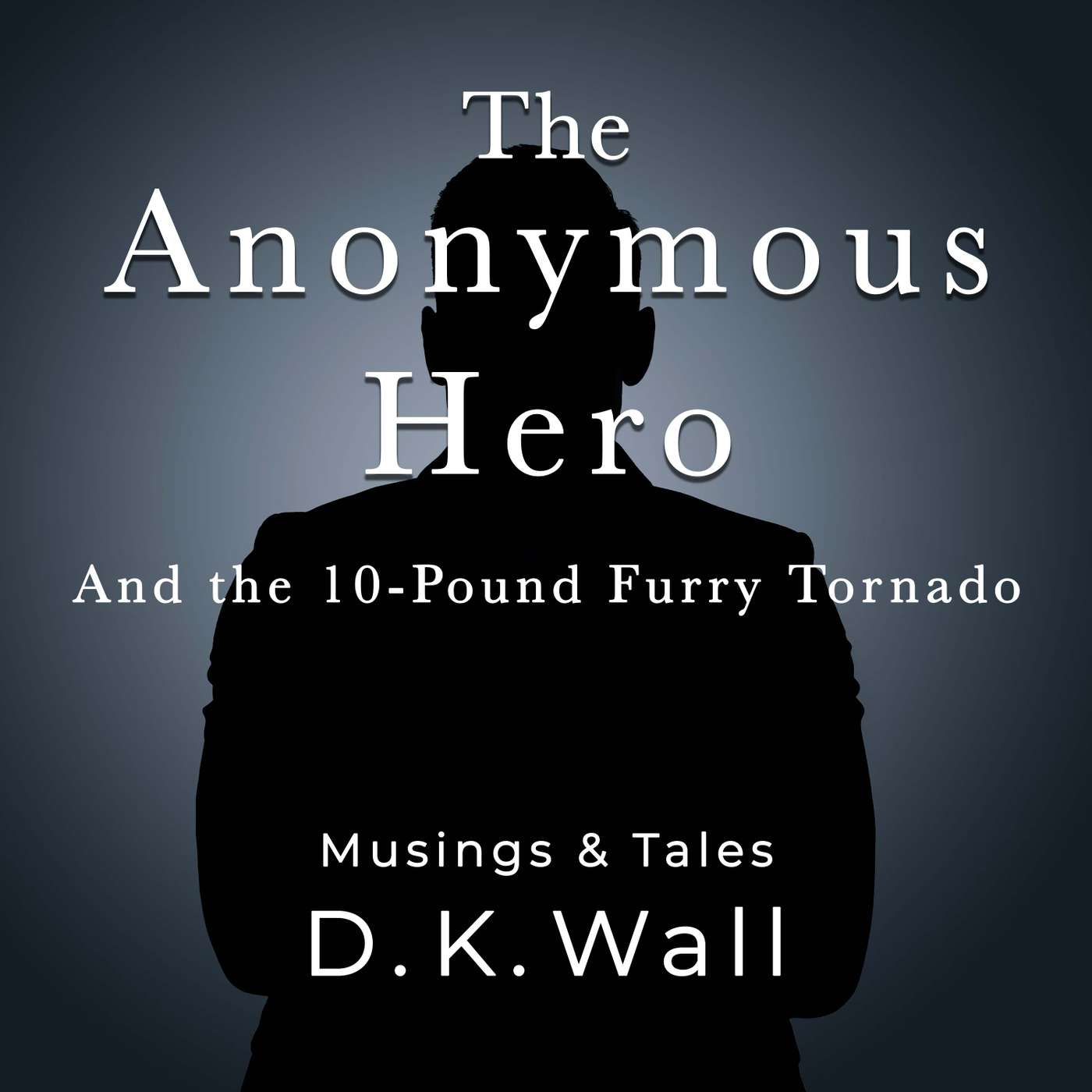 The Anonymous Hero episode artwork