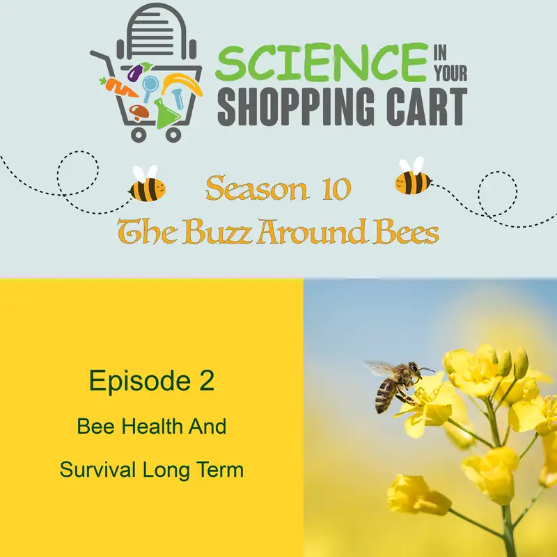 Season 10: The Buzz Around Bees | Episode 2: Bee Health And Survival Long Term