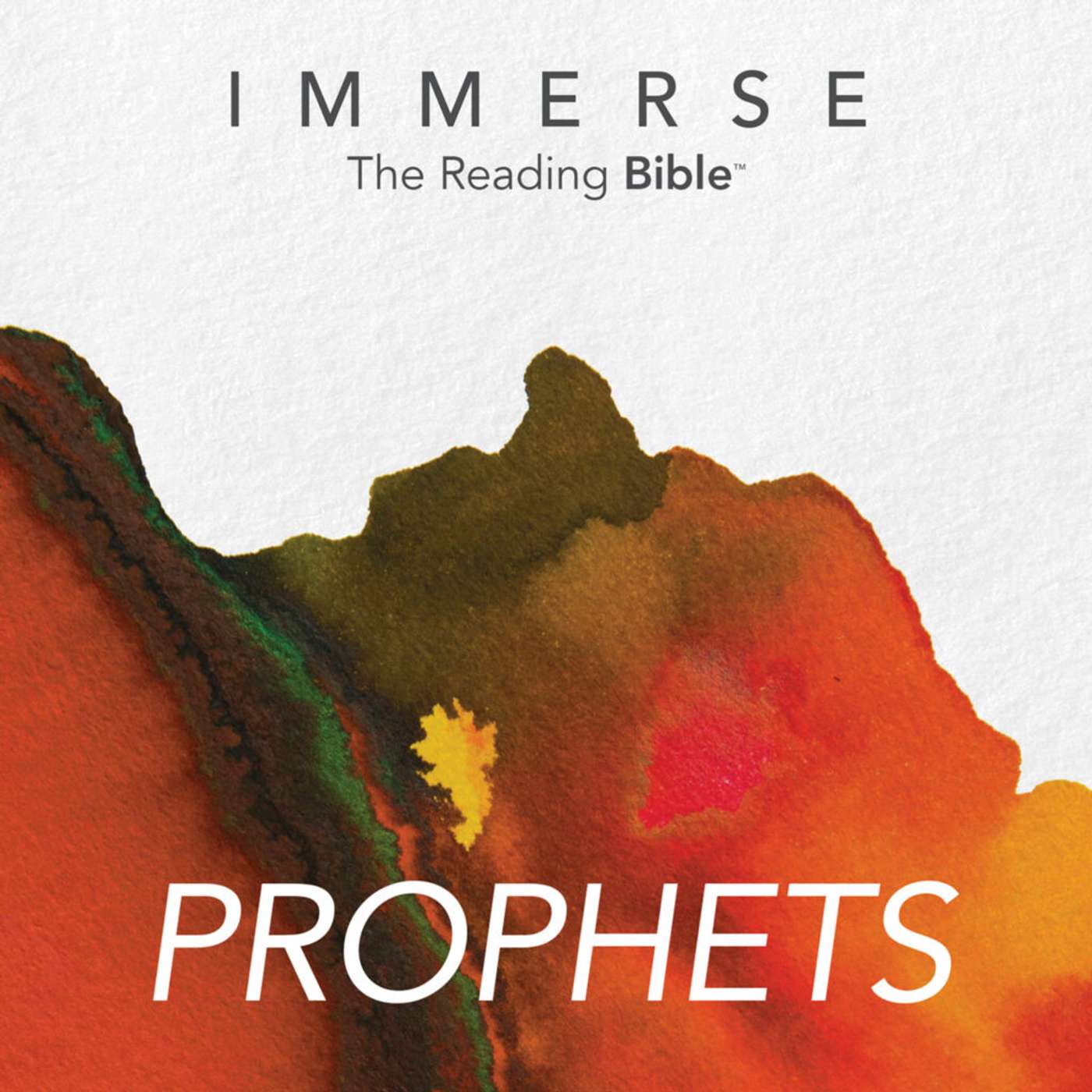 Immerse Prophets Day 282 Year 2 Bible Reading