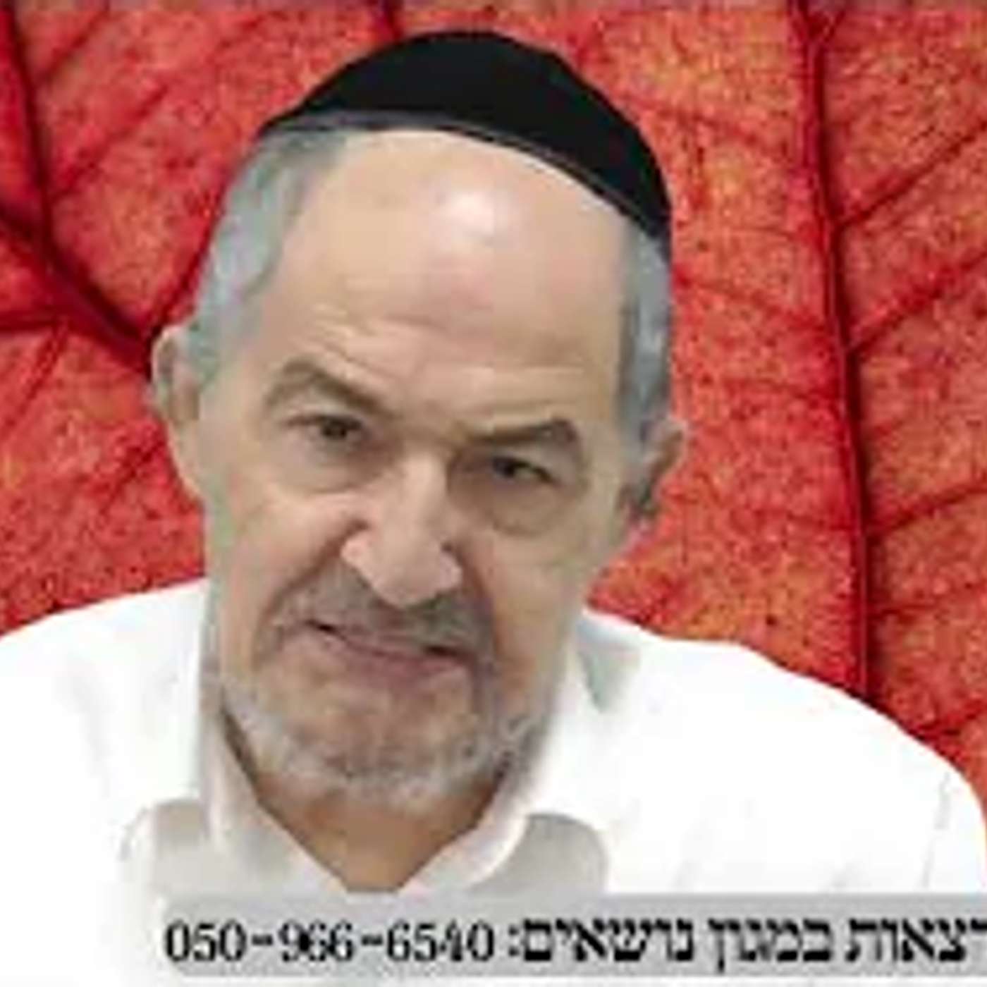 שיחה על עניינים בפרשת ניצבים תשפה בעברית