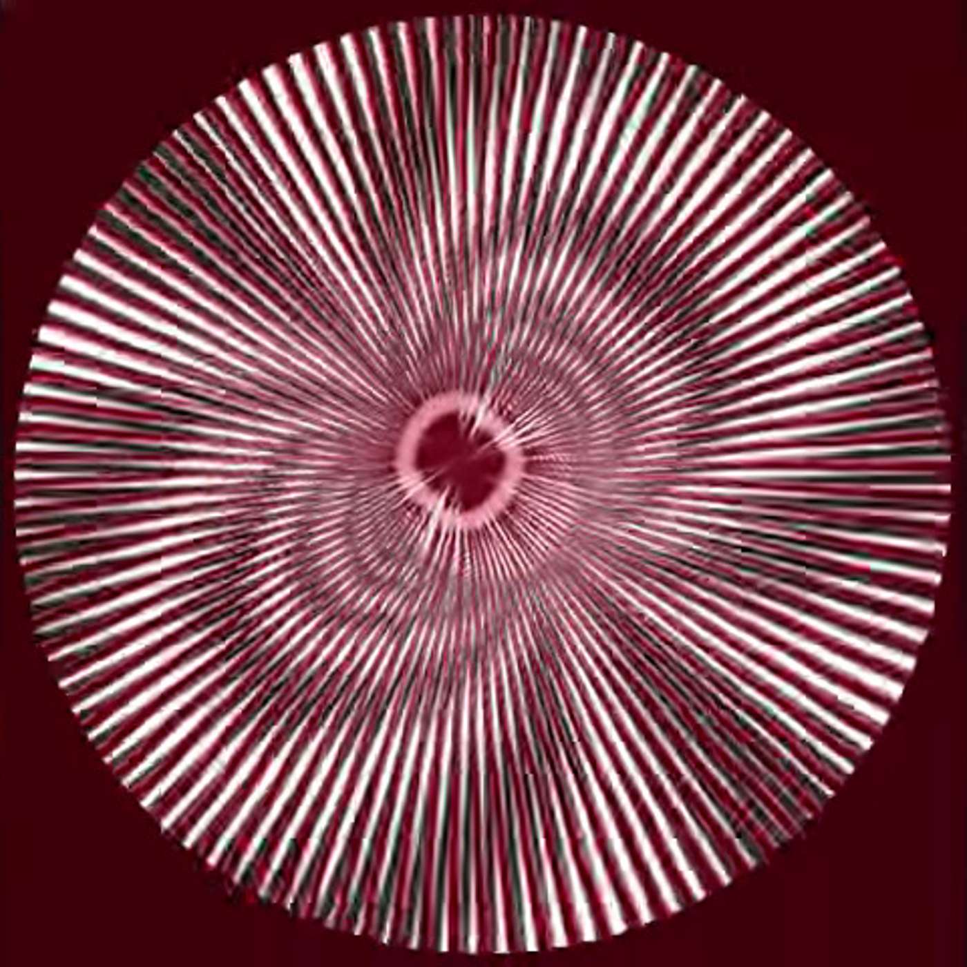 Subspace Radio: a Star Trek podcast