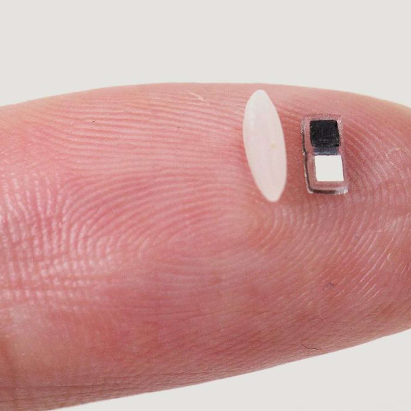 Rice-Sized Pacemaker Transforms Heart Surgery, Scientists Sue NIH Over Cuts, Ancient DNA Reveals Green Sahara's Impact, Pompeii Uncovers Priestess Sculpture, and more...