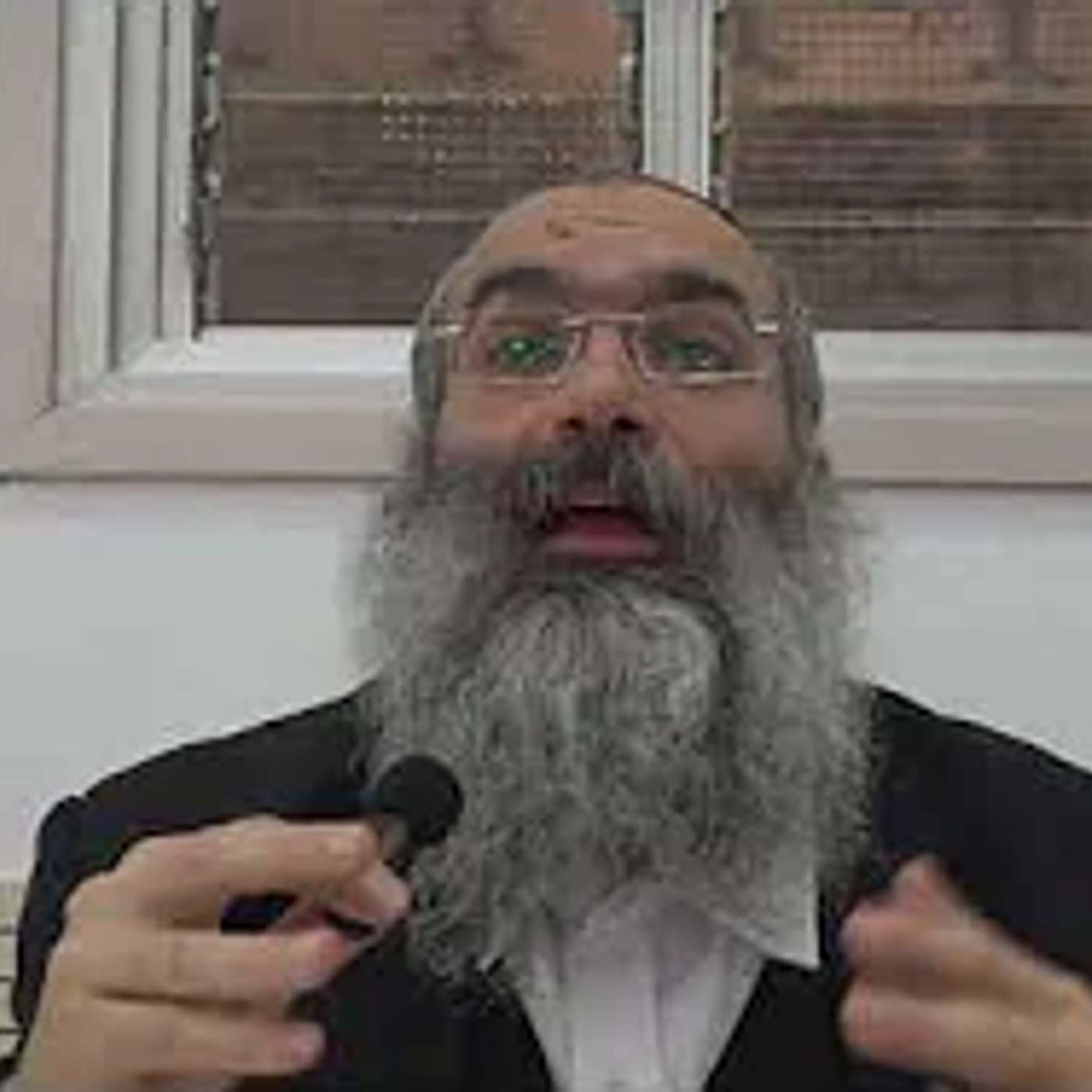 וגר זאב עם כבש▪️סיום הרמב"ם עם הרב נחמנסון▪️(בית כנסת חב"ד כפר סבא)