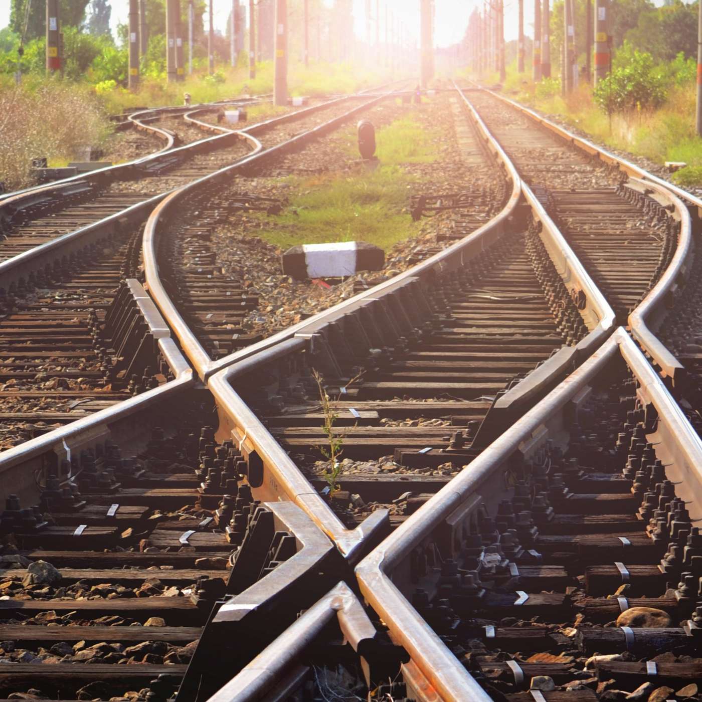 AI Ethics, the Trolley Problem, and a Twitter Ghost Story with Joshua Greene And Iyad Rahwan