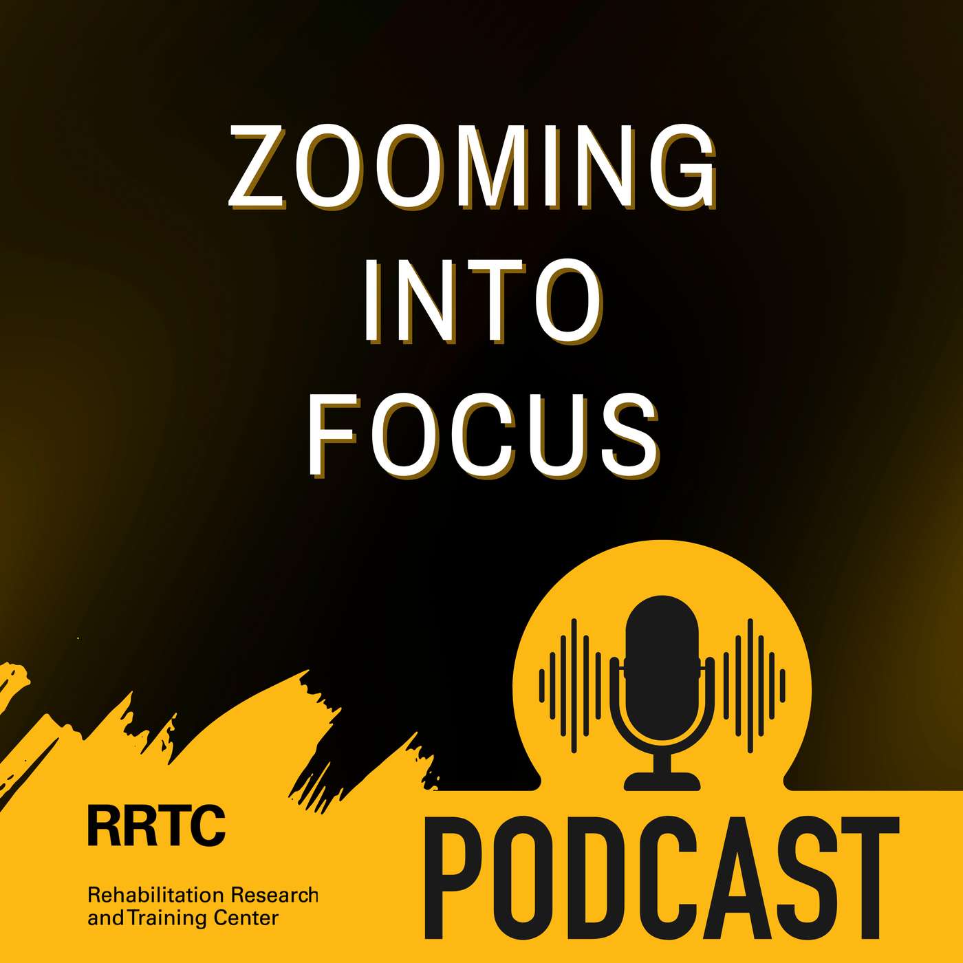 Zooming into Focus: A VCU-RRTC-IDD Podcast