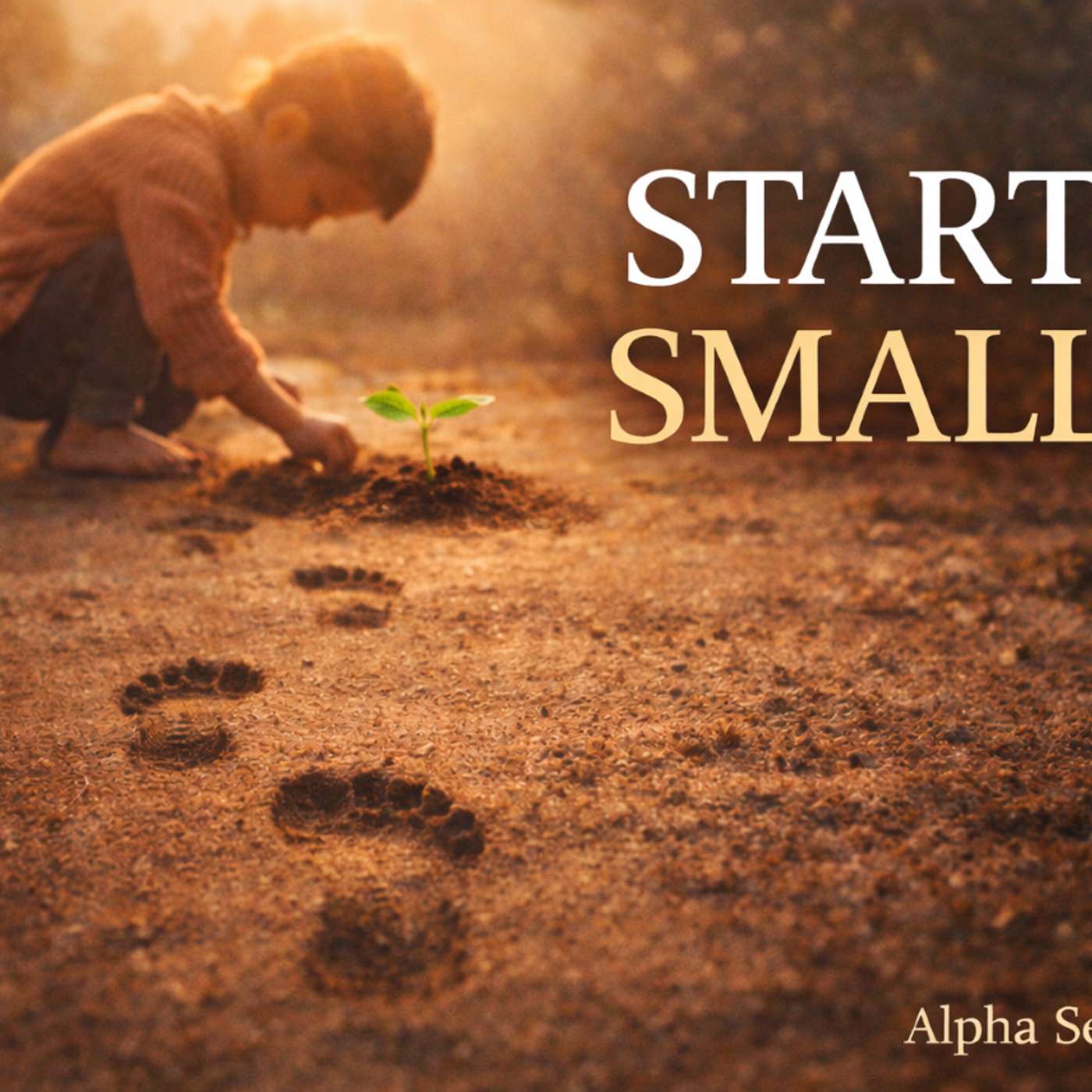 Do Not Despise Small Beginnings | The Power of Starting Small cover art