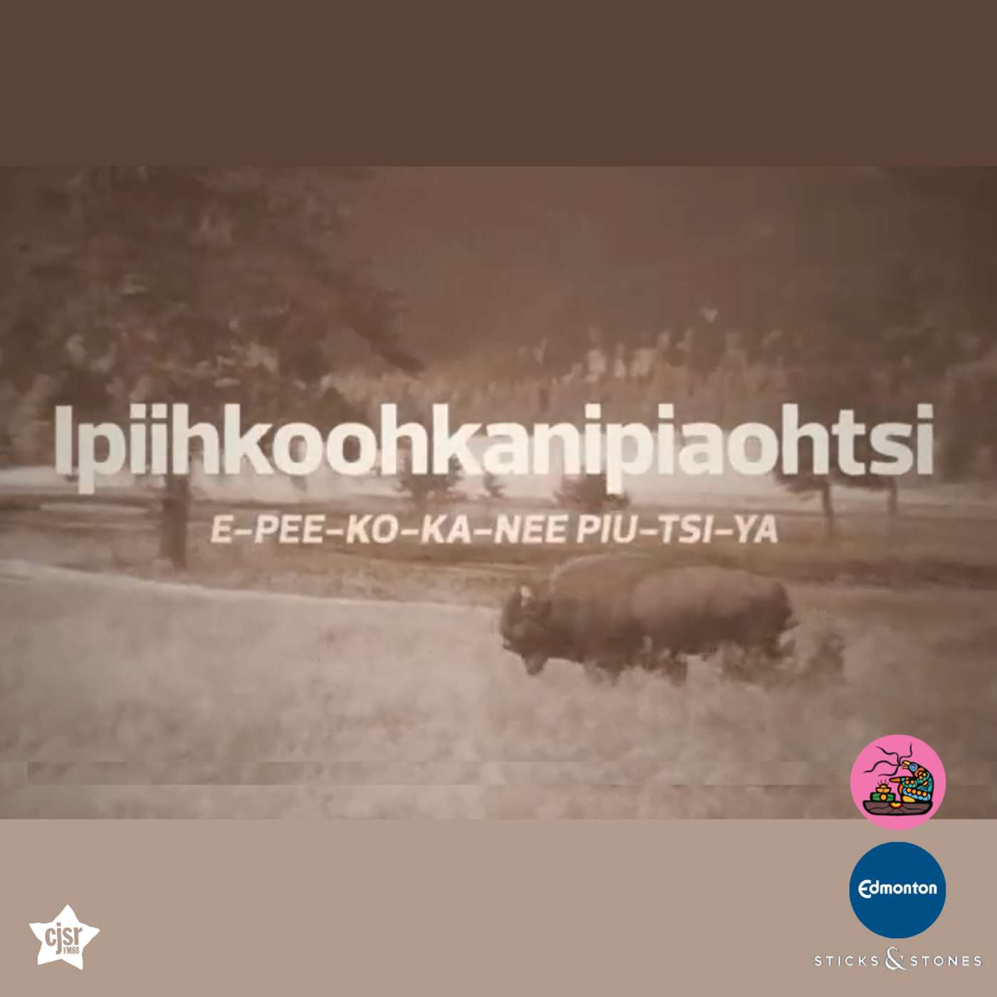 Ipiihkoohkanipiaohtsi | Edmonton Ward Names episode artwork