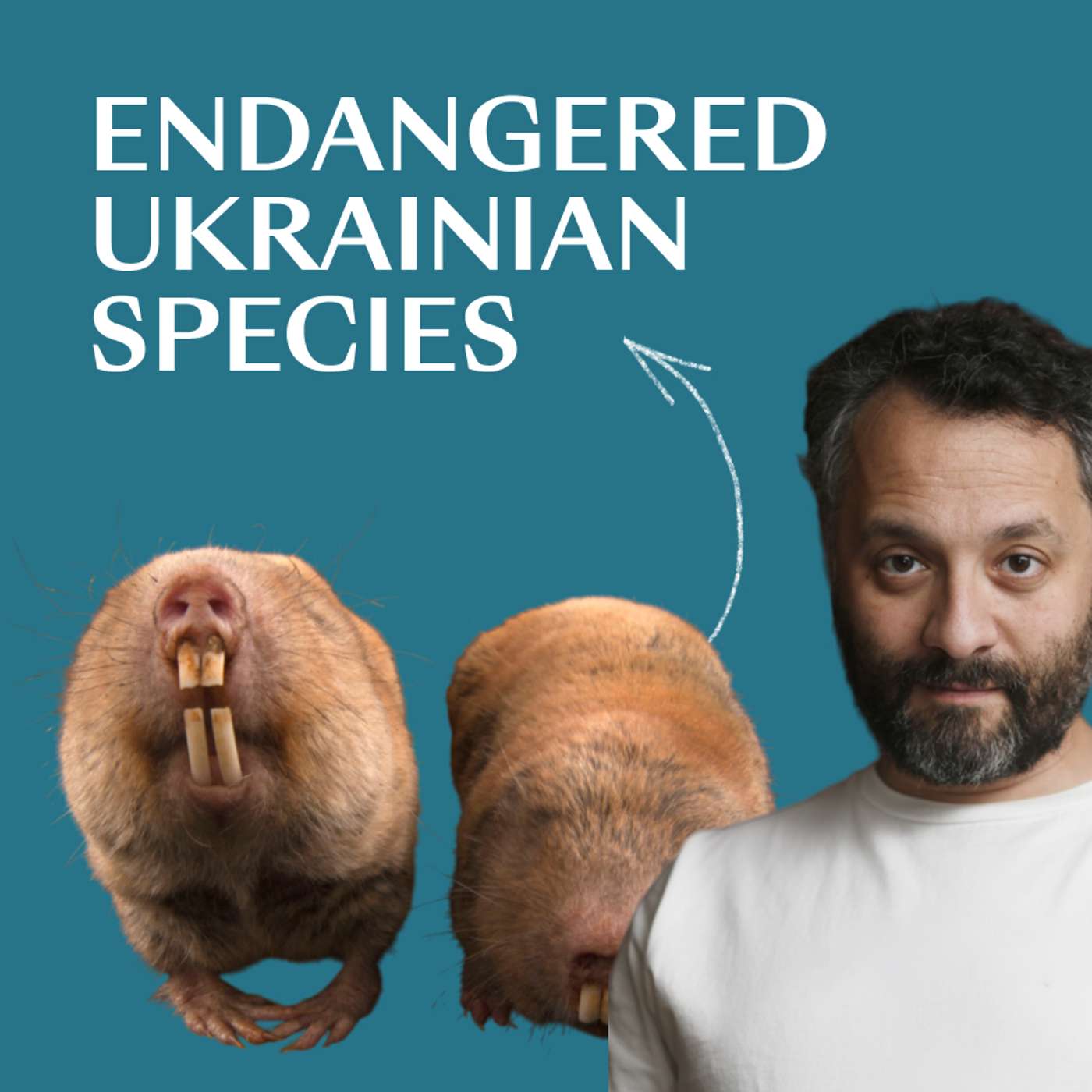 Mole Rats and War podcast