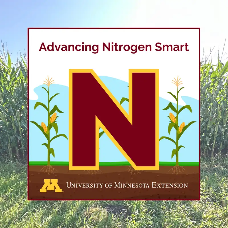 Timing nitrogen efficiently: How to maximize yield while mitigating risk