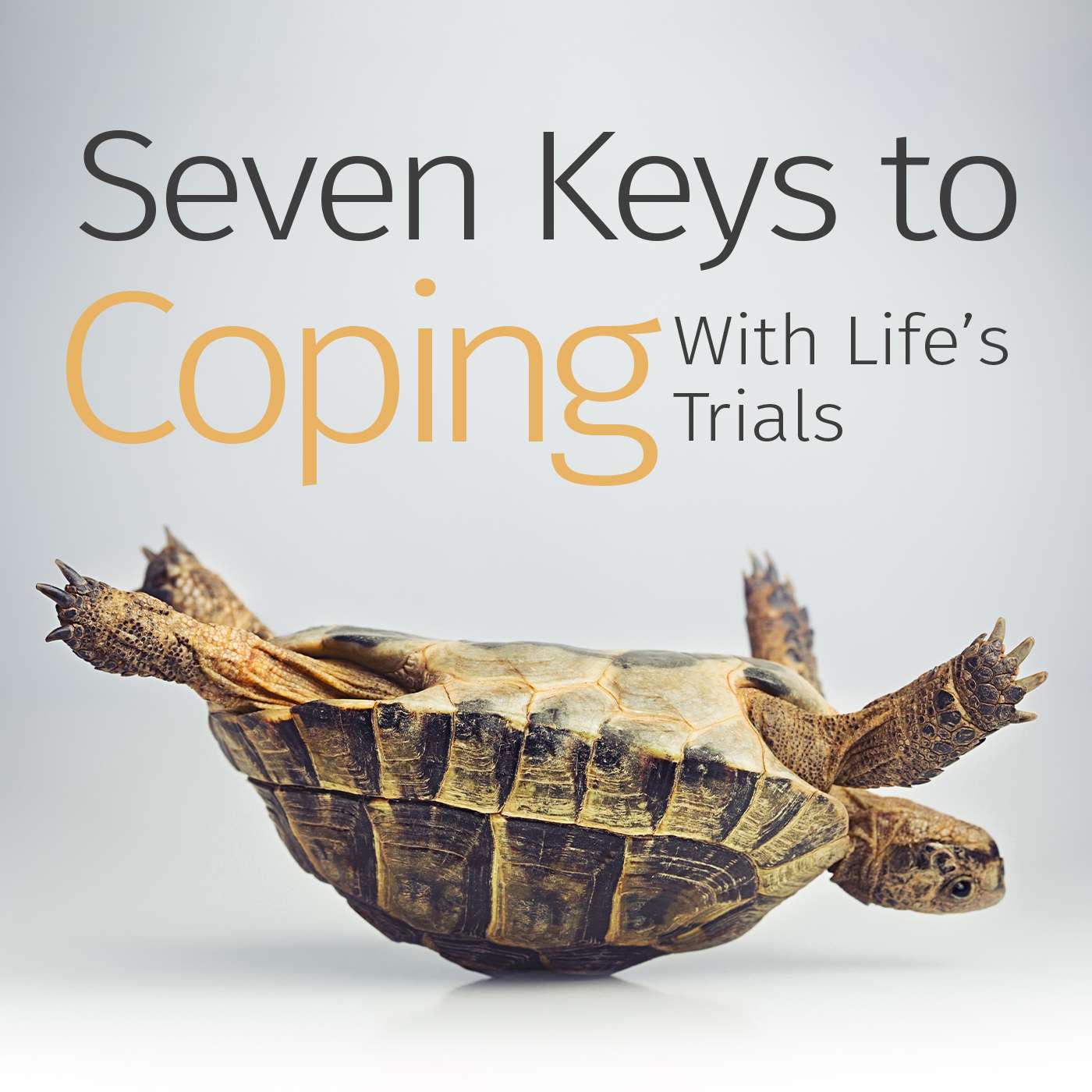 Episode 55: Seven Keys to Coping With the Trials and Tribulations of Life episode artwork