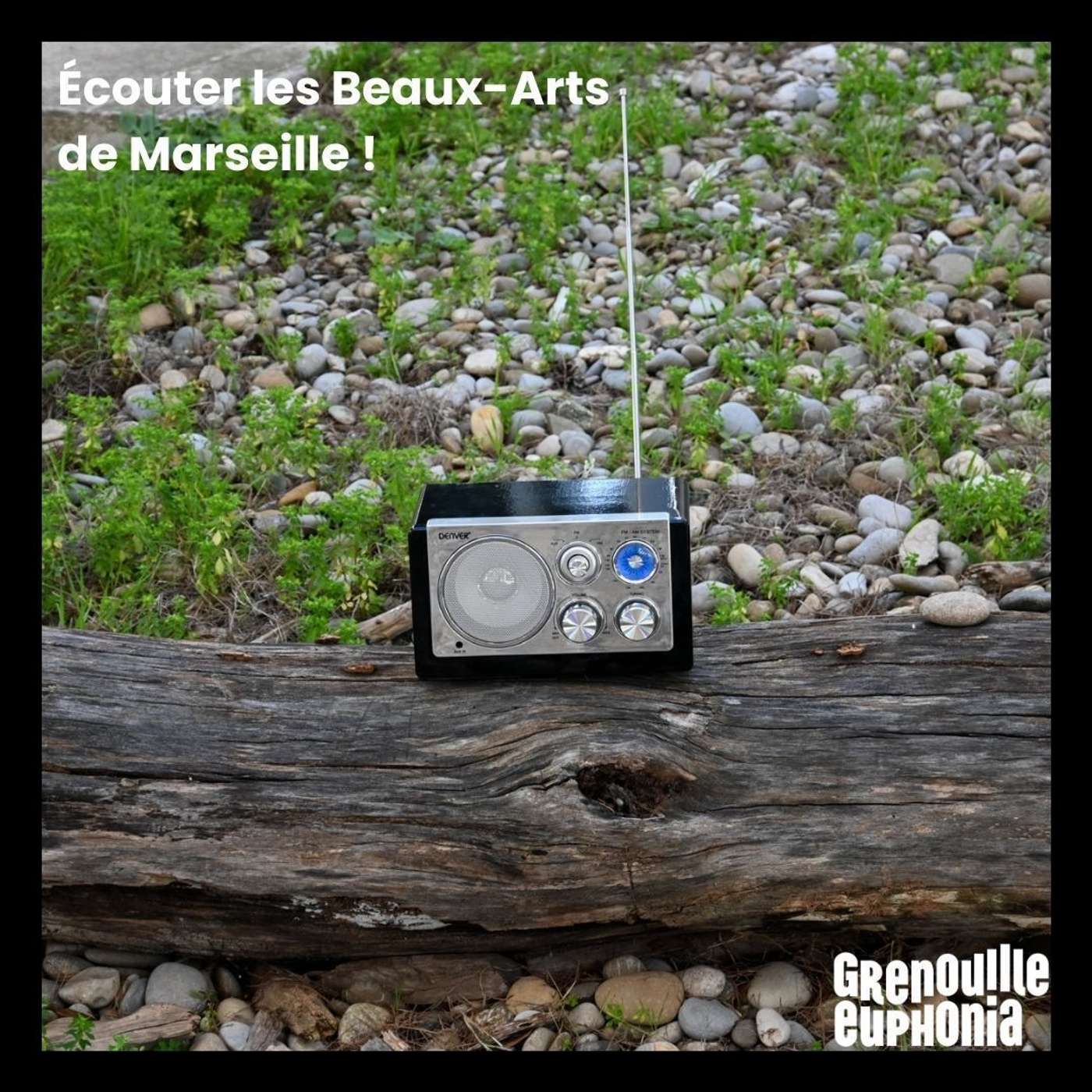 Portrait des Beaux-Arts | Valérie Langlais | le Patio magique episode artwork