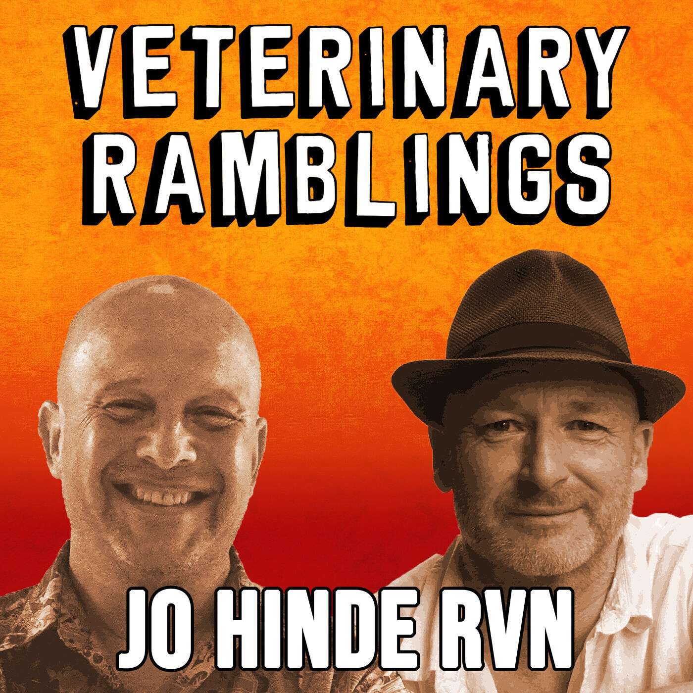 Ep 23: Rabbit Care & Sepsis Awareness with Jo Hinde RVN episode artwork