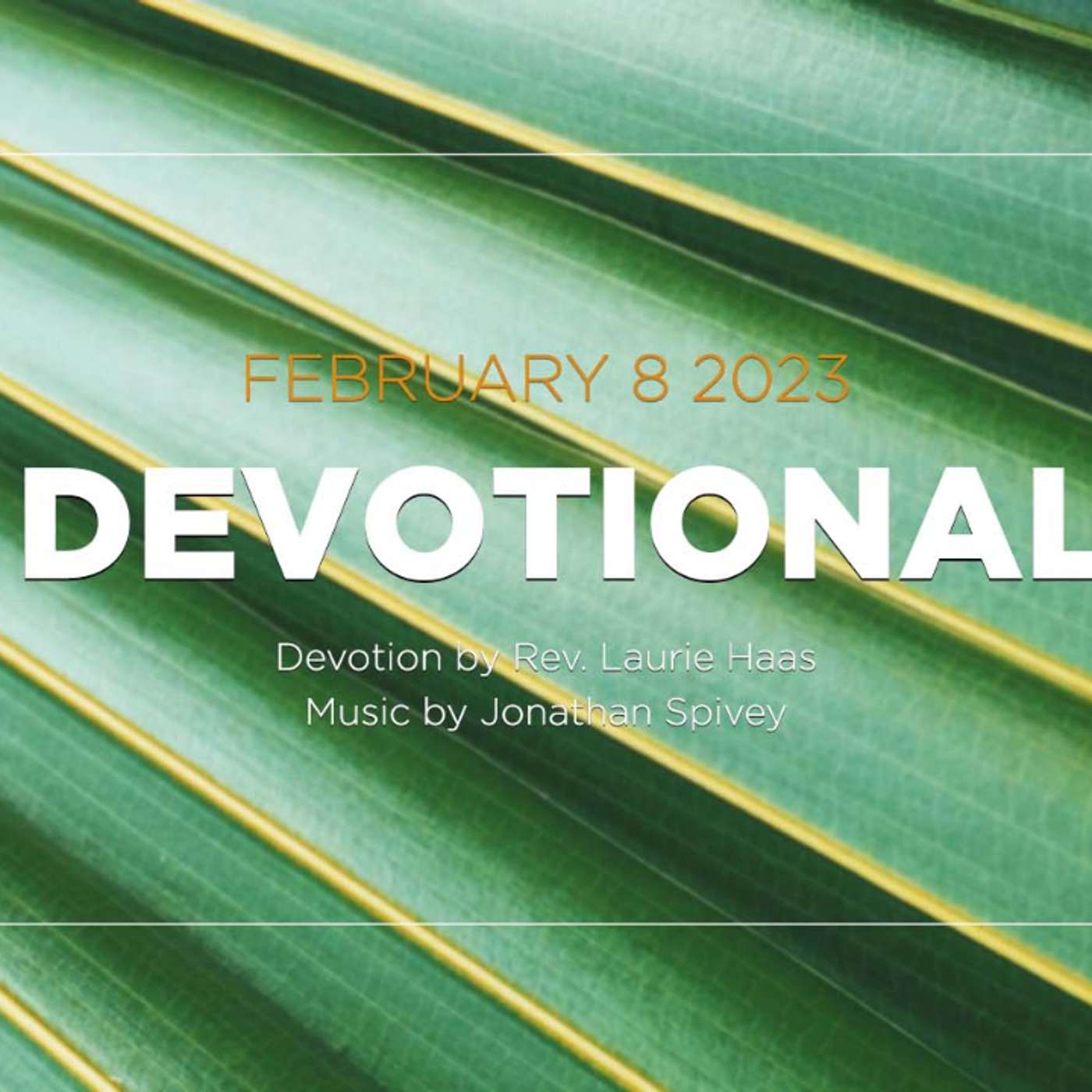 Devotion for February 8, 2023 with Pastor Laurie Haas episode artwork