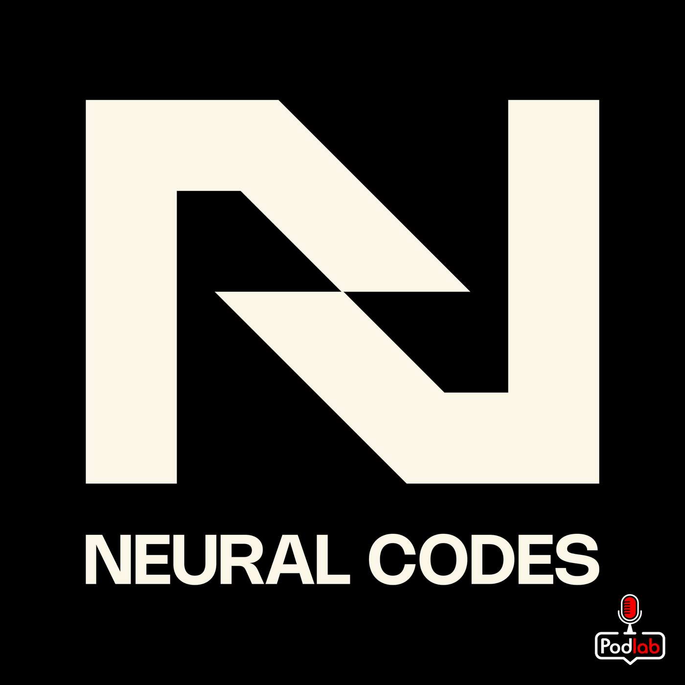 Neural Codes cover art