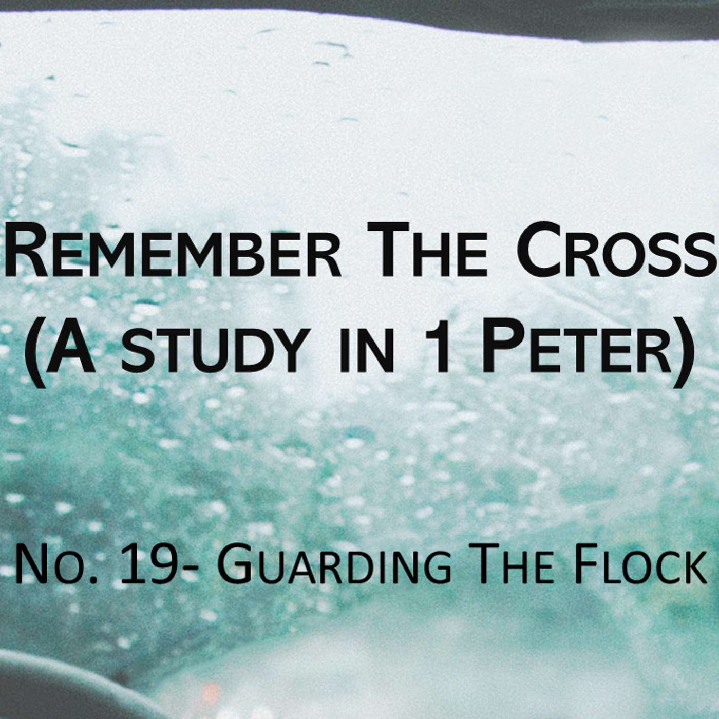 Remember The Cross (1 Peter) No.19- Guarding The Flock