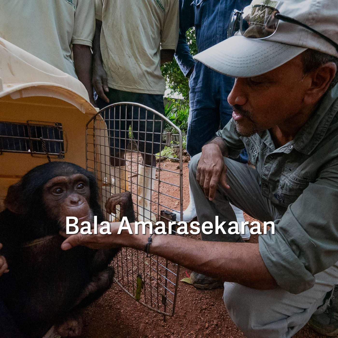 Bala Amarasekaran- The Accidental Conservationist