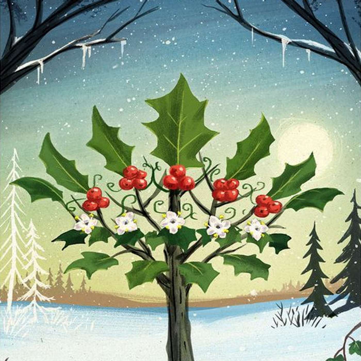 Winter Medicinal Herbs with Kathi Keville episode artwork