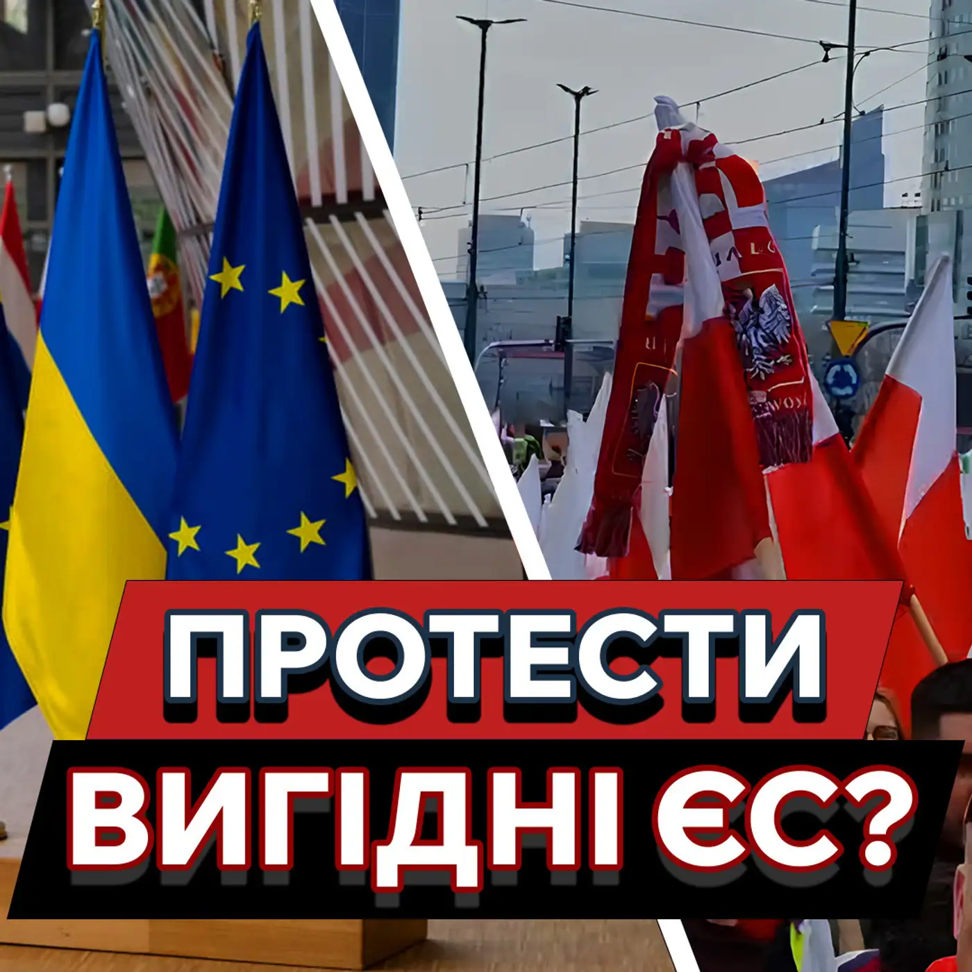 Що НАСПРАВДІ сталося з поляками? Навіщо ЄС протести фермерів?