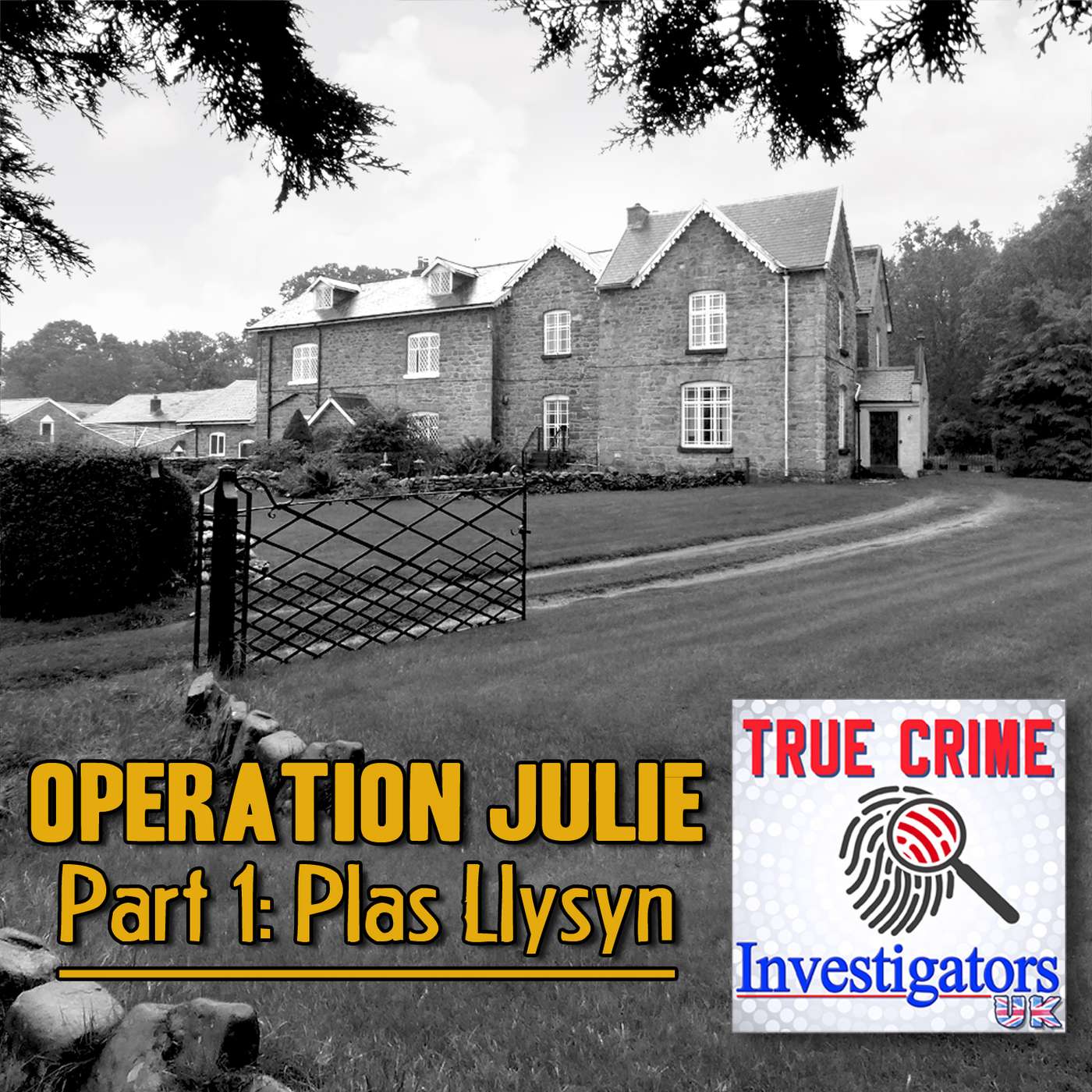 Operation Julie (Part 1 of 4) - Plas Llysyn episode artwork