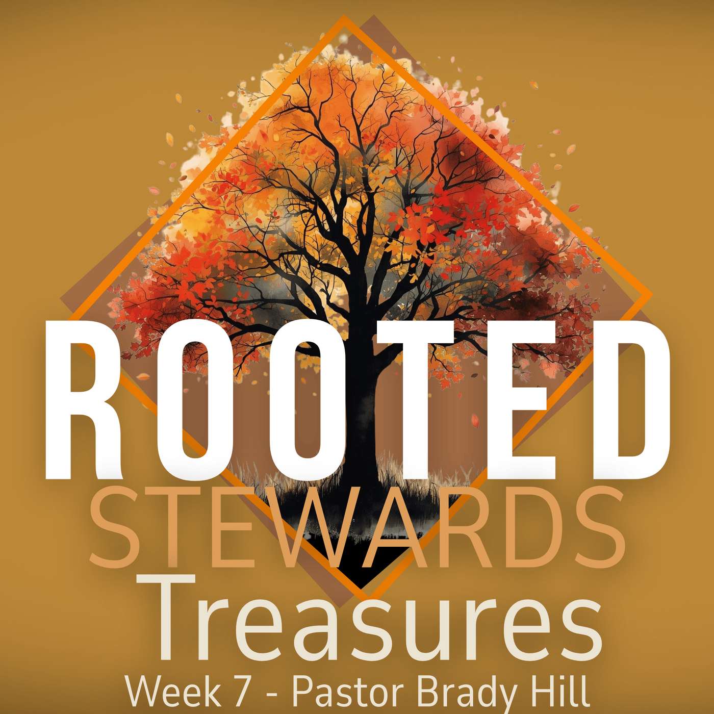 Rooted | Treasures | Week 7
