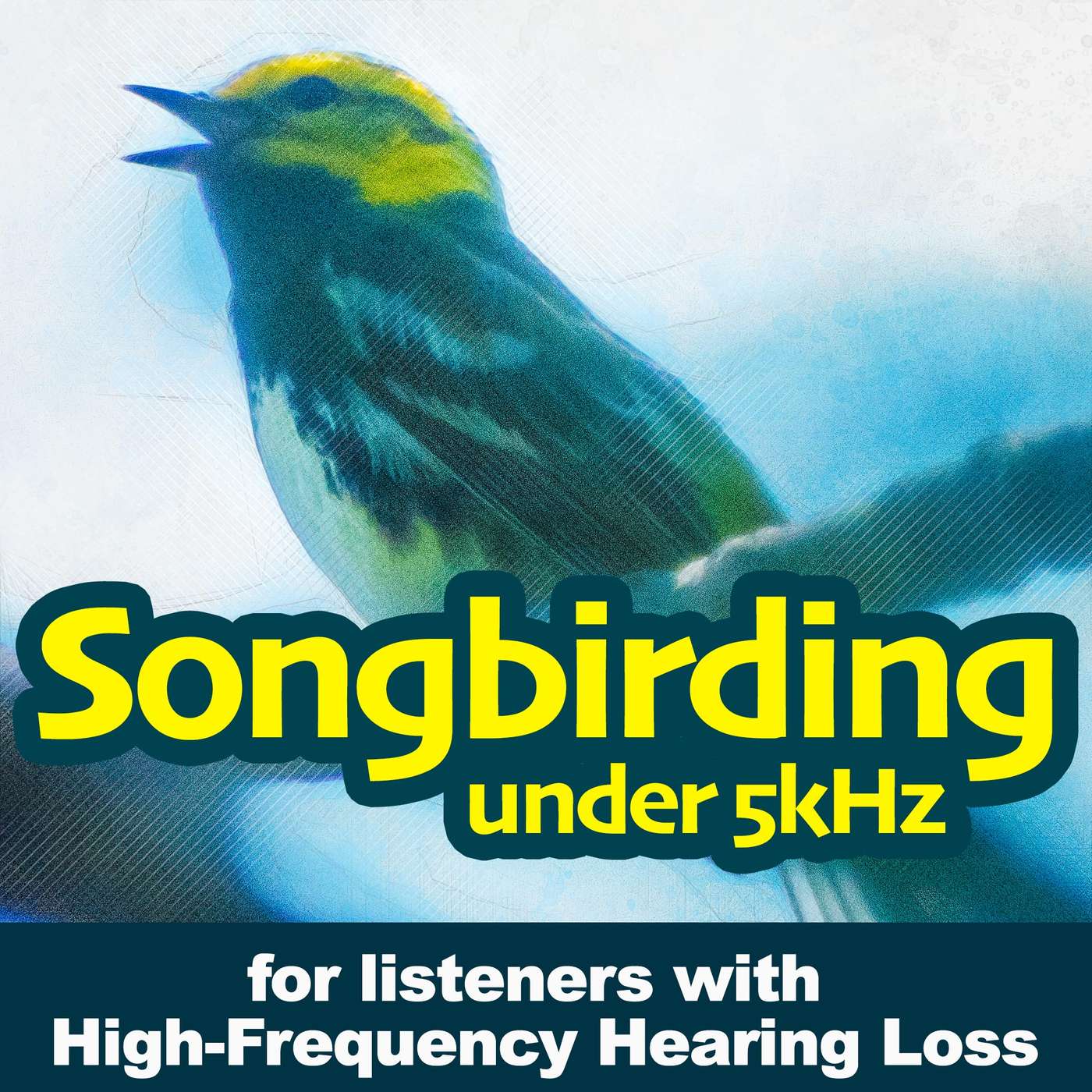 Birdsong Identification Quiz (Season 1)