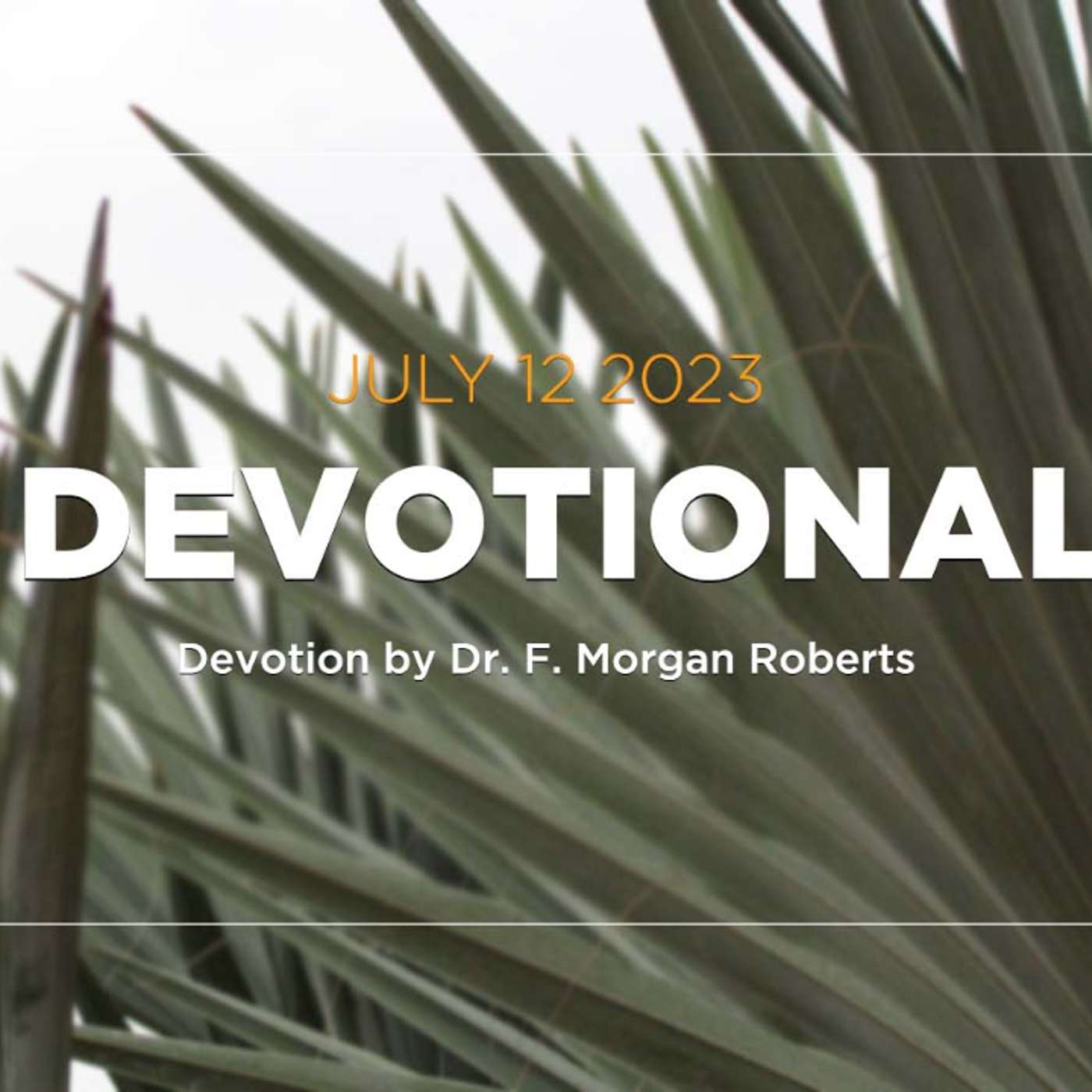 Devotion for July 12, 2023 with Dr. F. Morgan Roberts episode artwork