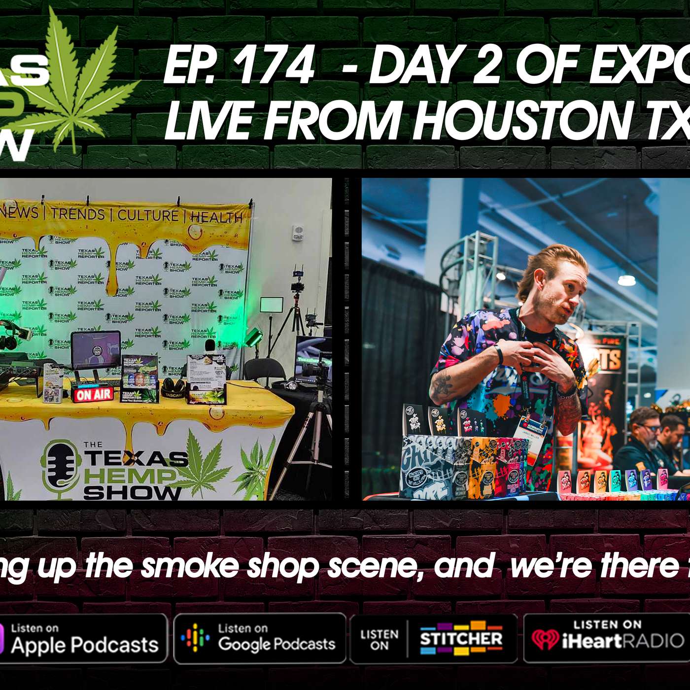 Episode # 174 Alt. Pro Expo - Day 2 episode artwork