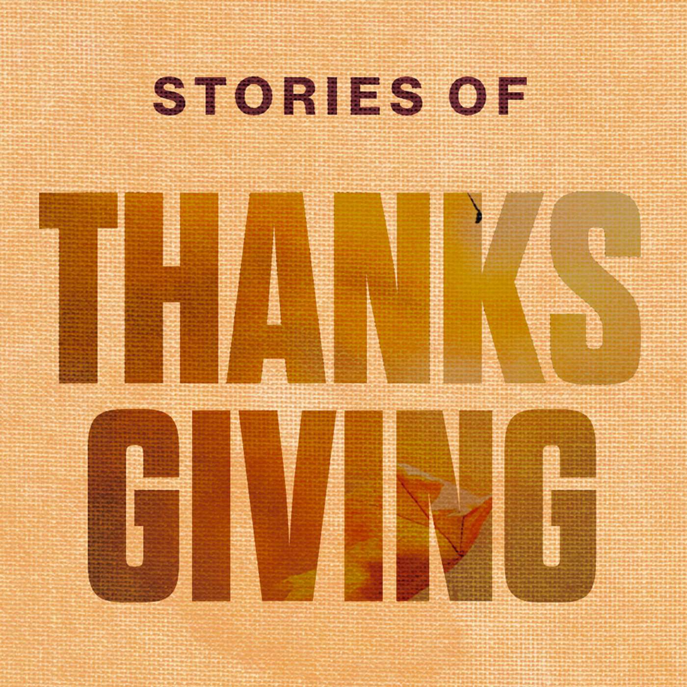 Stories of Thanksgiving // 2025