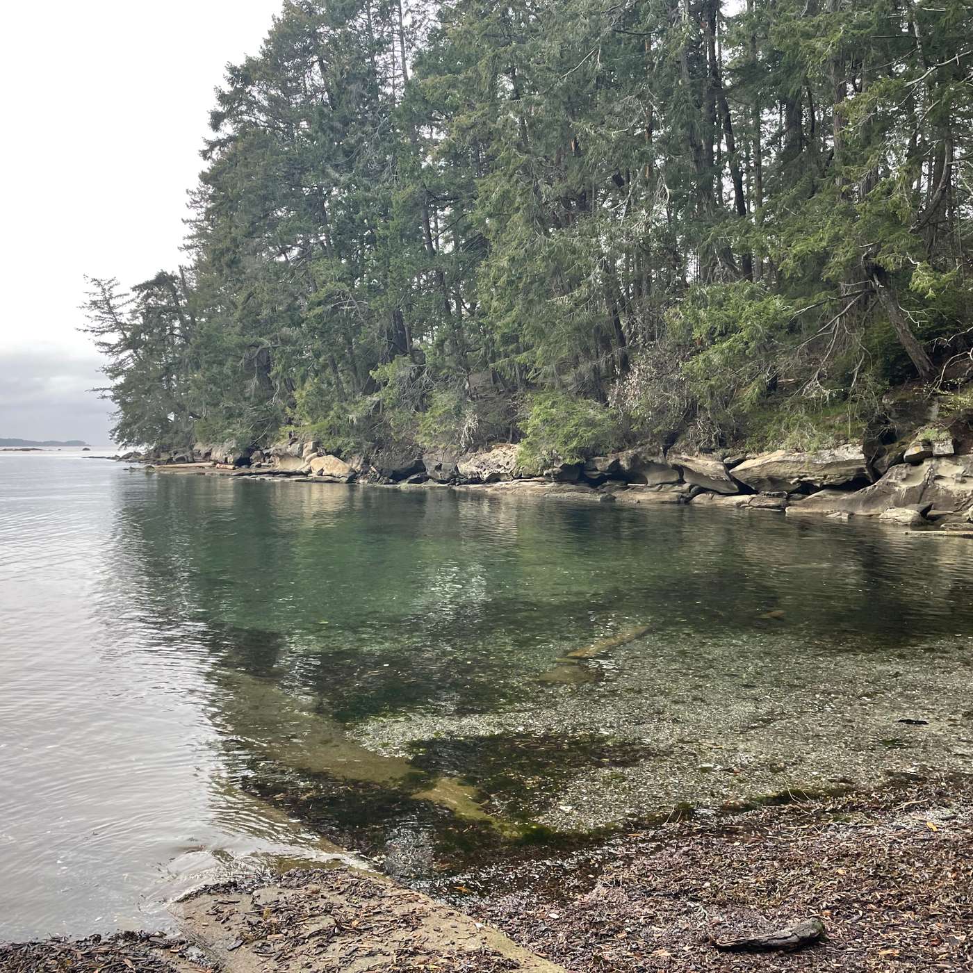 Gabriola Official Community Plan seeks community input episode artwork